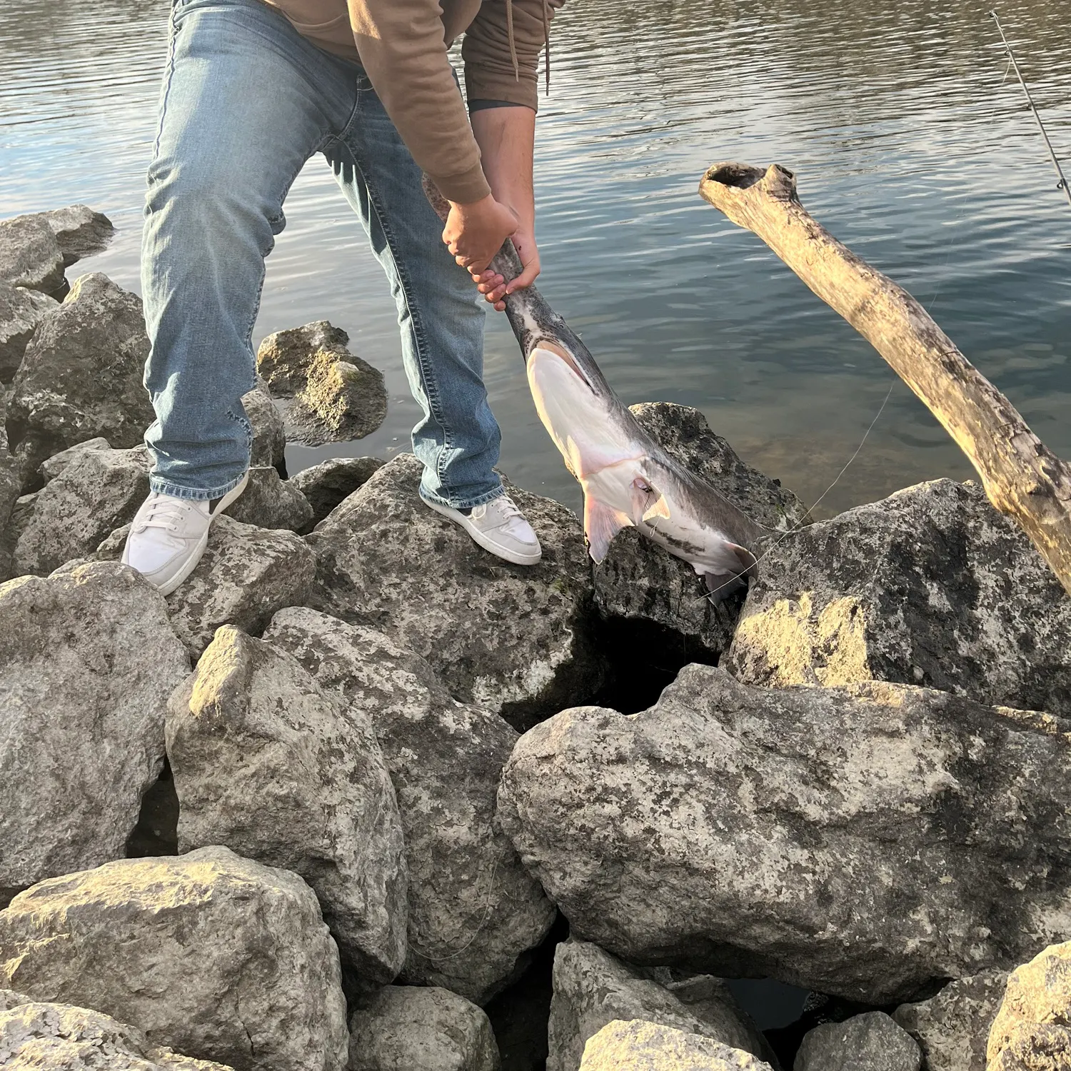 recently logged catches