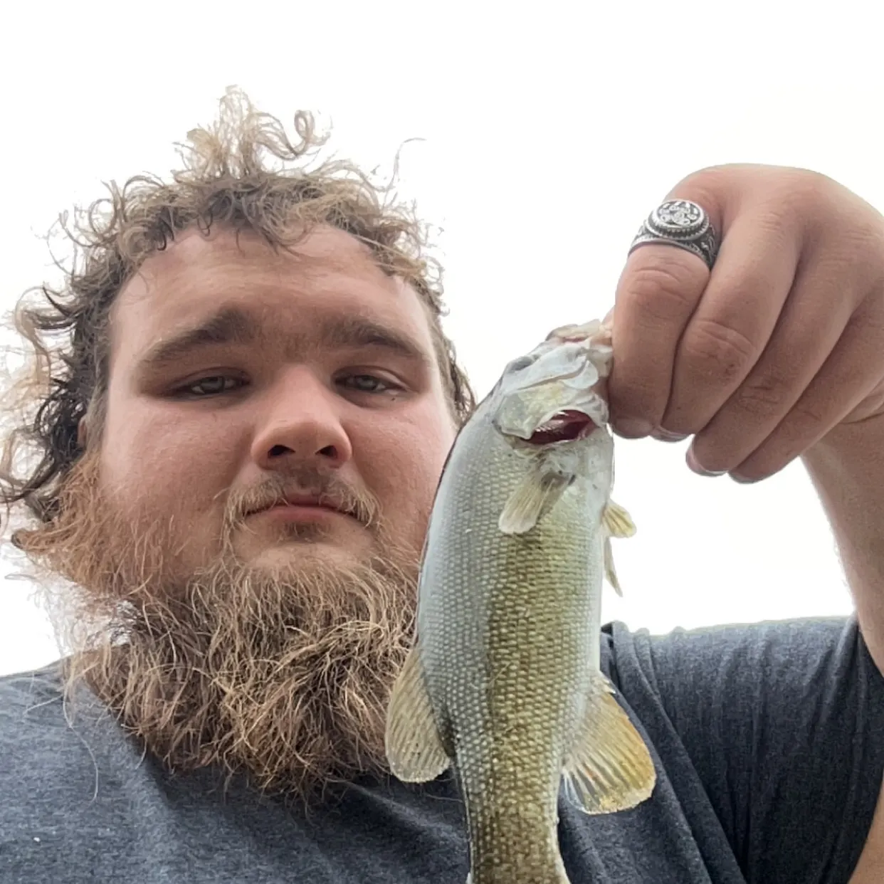 Smallmouth bass caught on Fishbrain