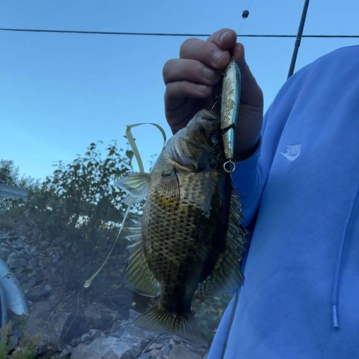 Fish caught on Fishbrain