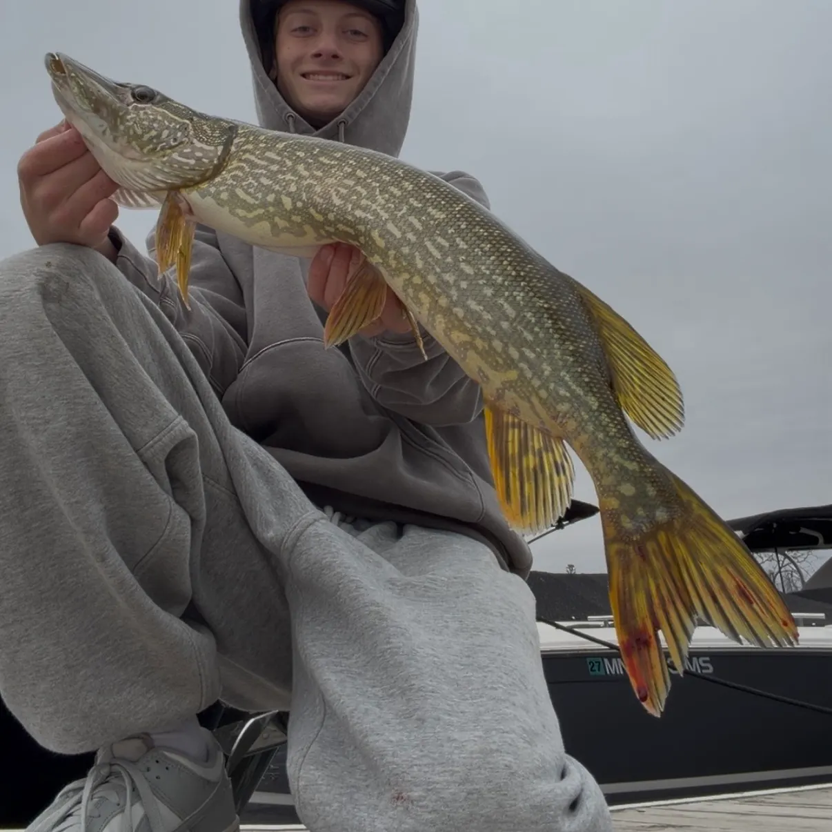 Northern pike caught on Fishbrain