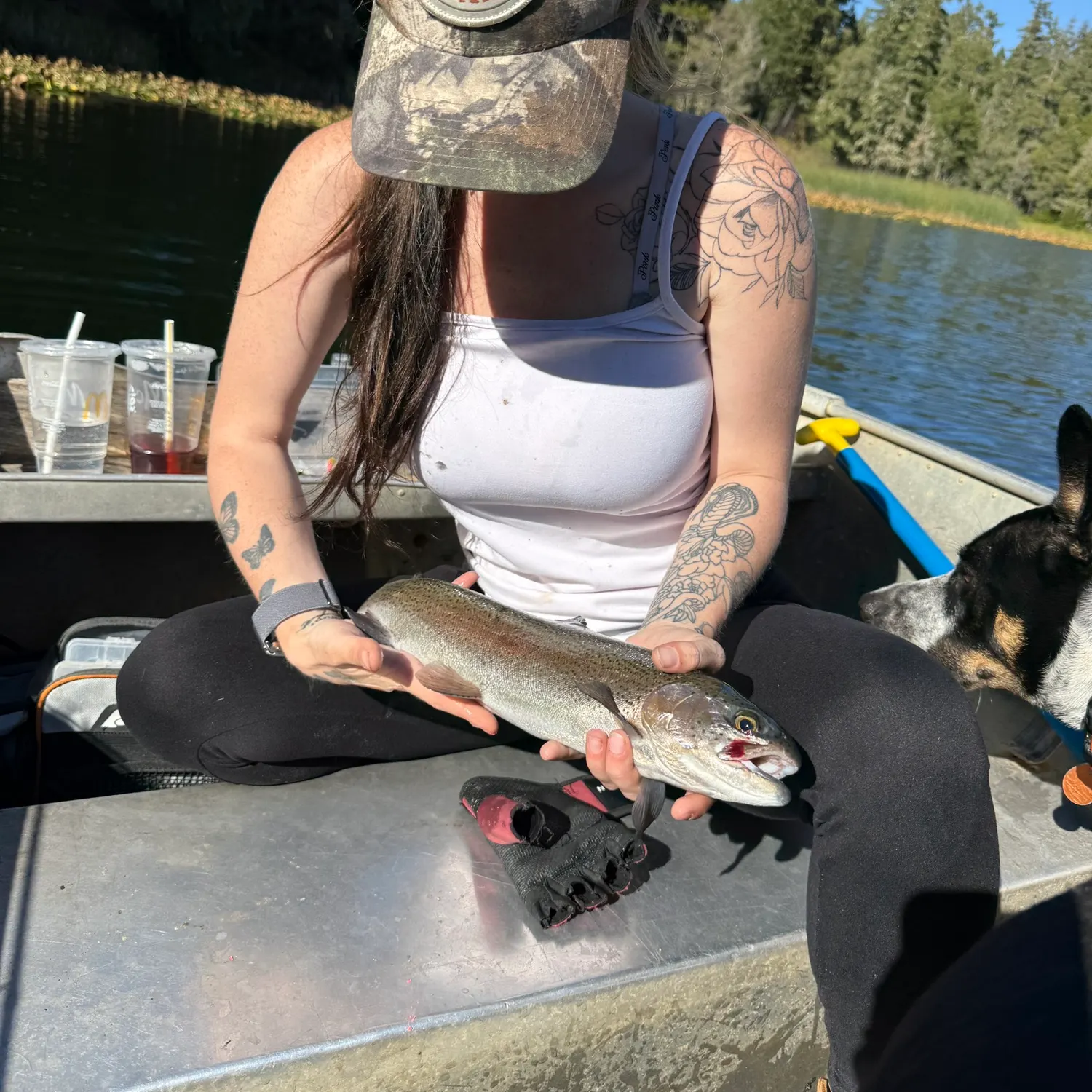 Rainbow trout caught on Fishbrain