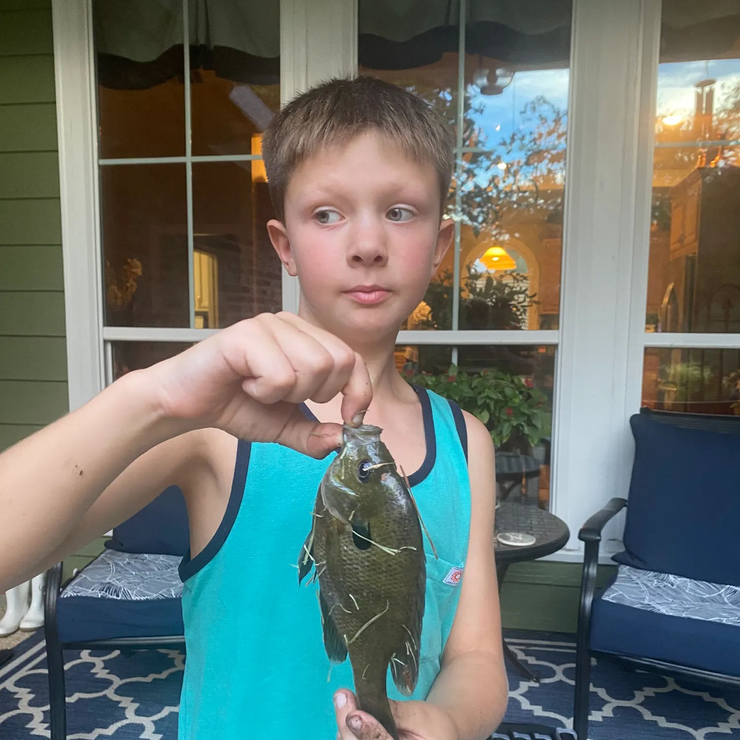 Bluegill caught on Fishbrain