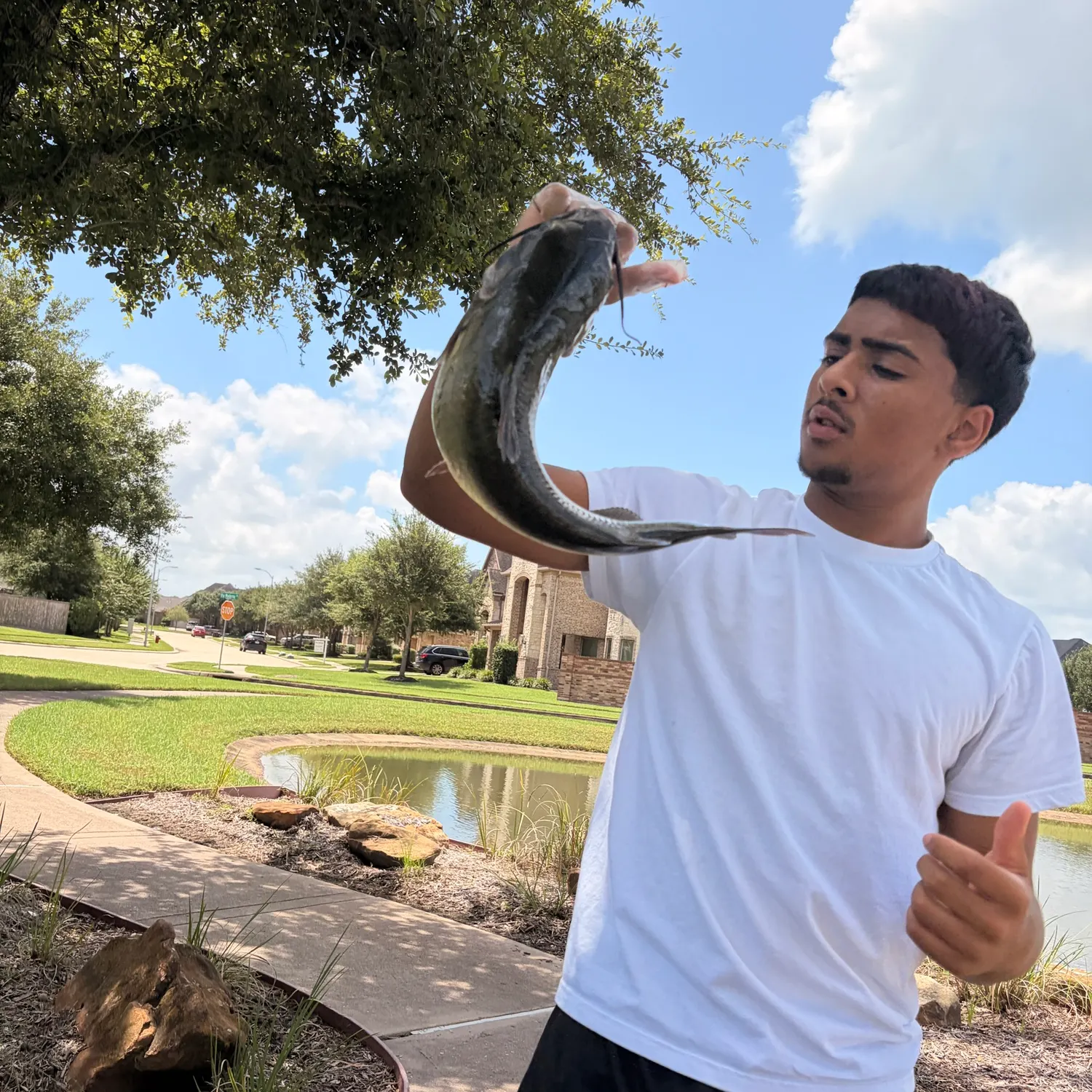 catch