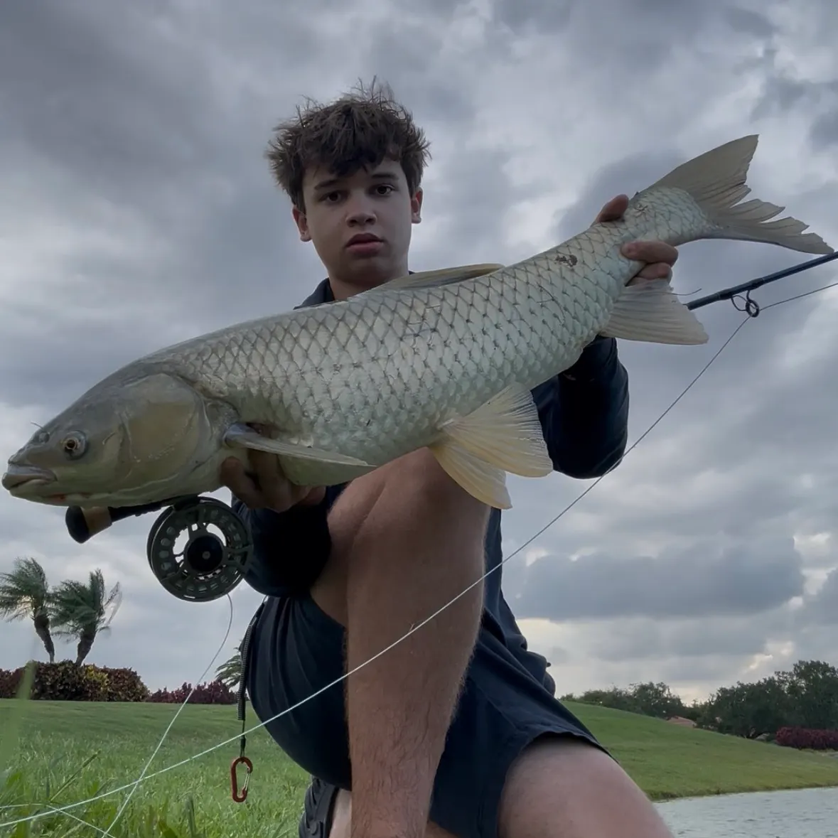 The most recent Grass carp catches on Fishbrain