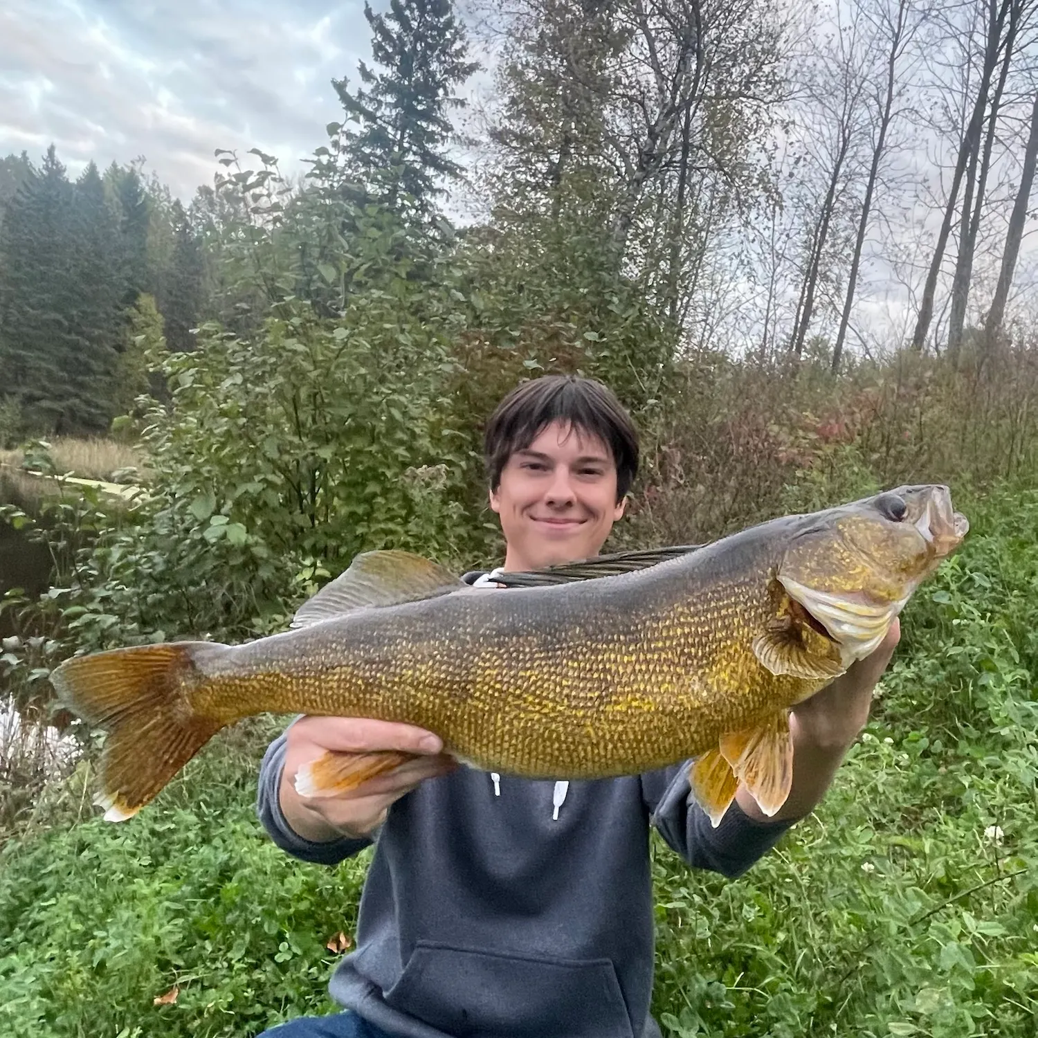 Walleye caught on Fishbrain