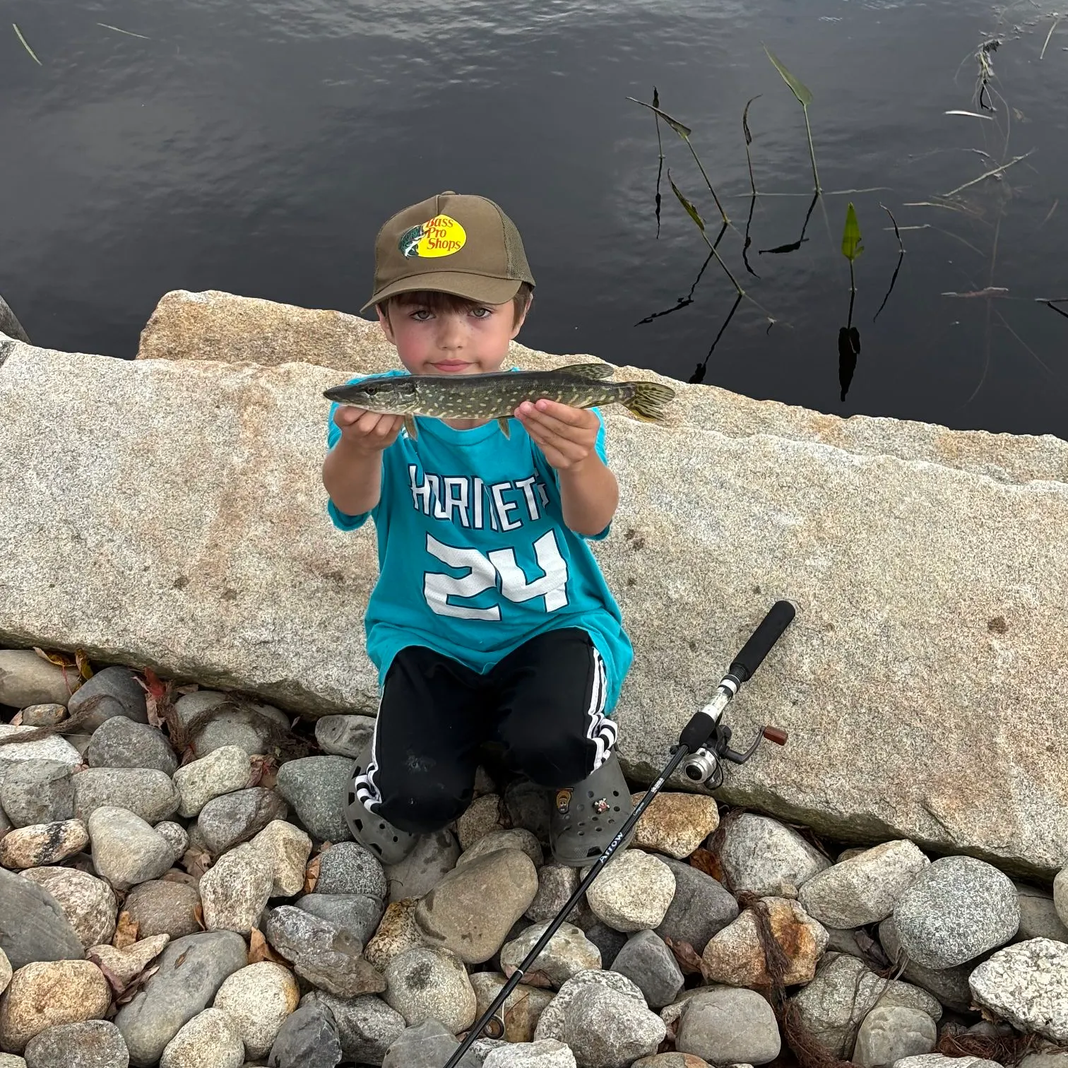 Northern pike caught on Fishbrain