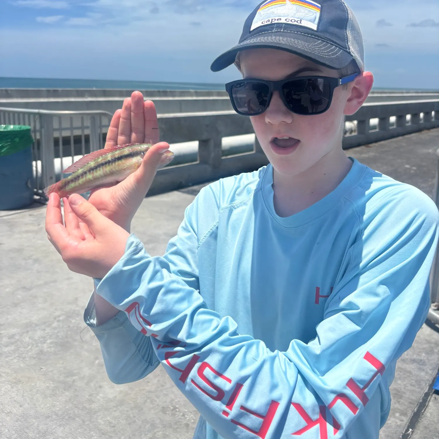 The most recent Slippery dick wrasse catches on Fishbrain