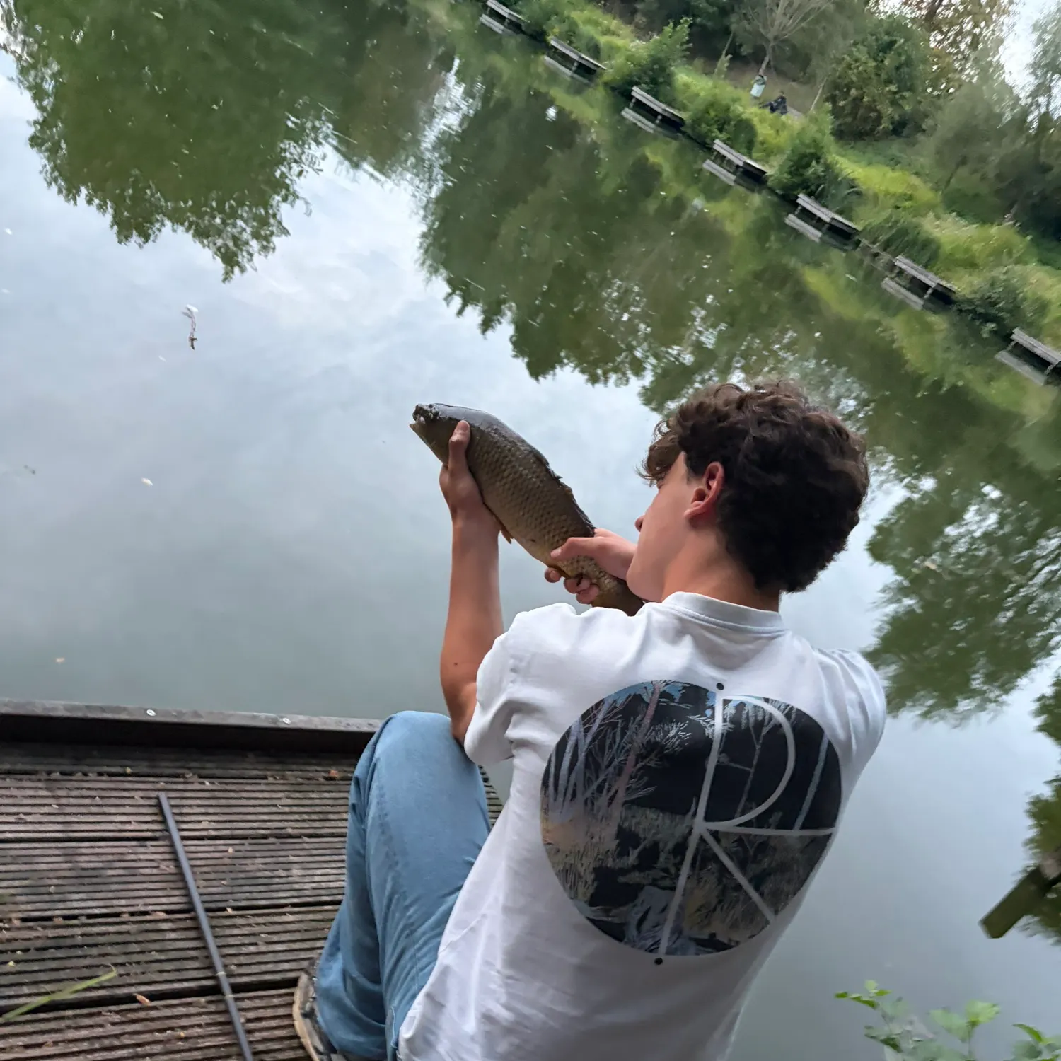 Common carp caught on Fishbrain