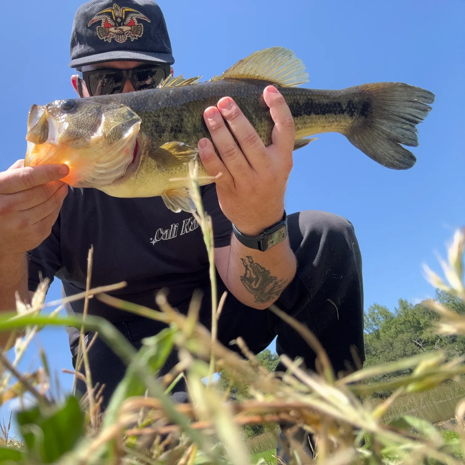 catch