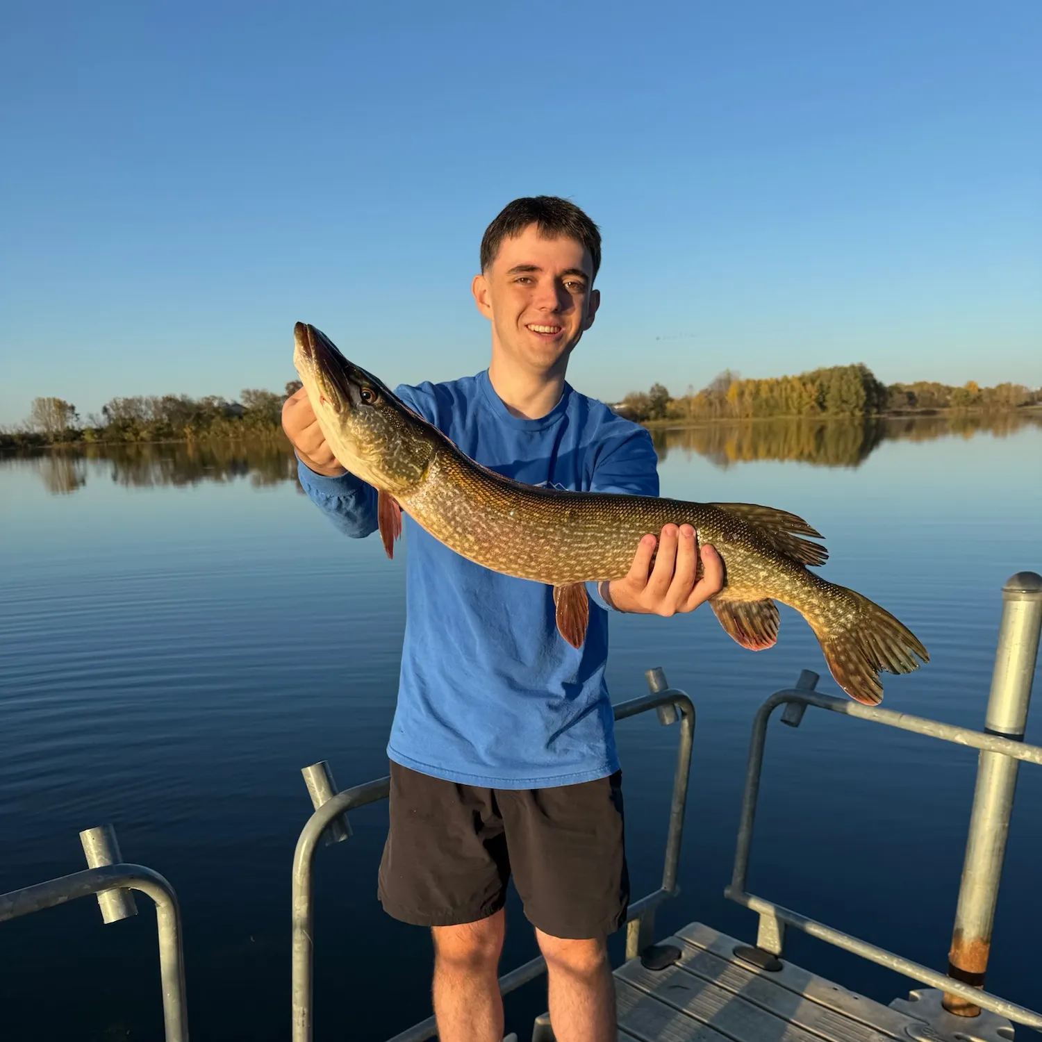 Northern pike caught on Fishbrain