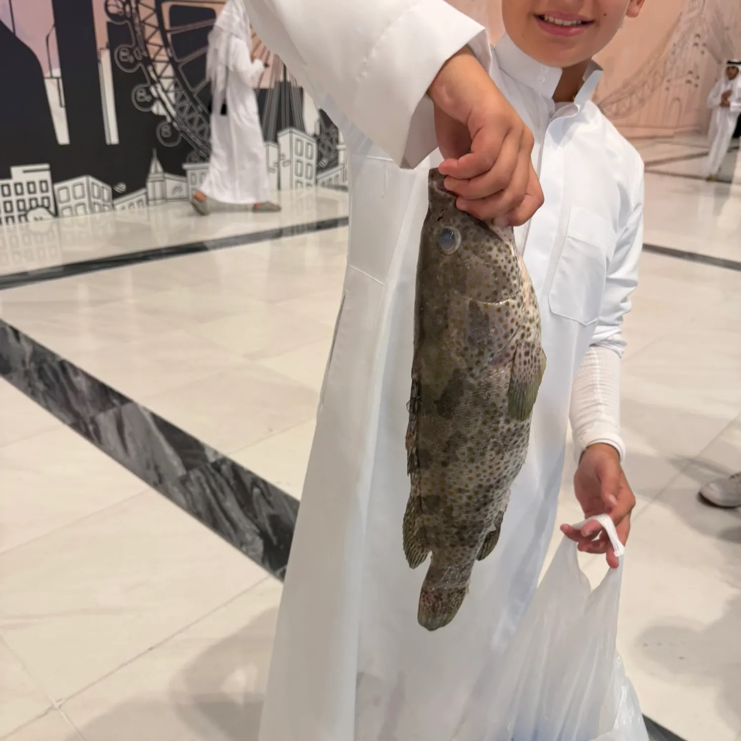 The most recent Spotted grouper catches on Fishbrain