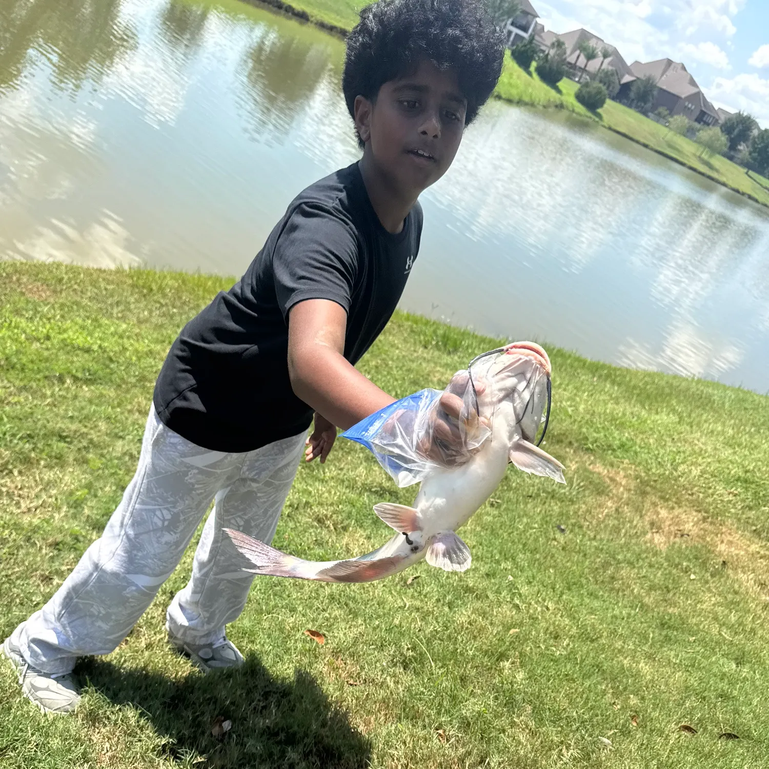 Channel catfish caught on Fishbrain