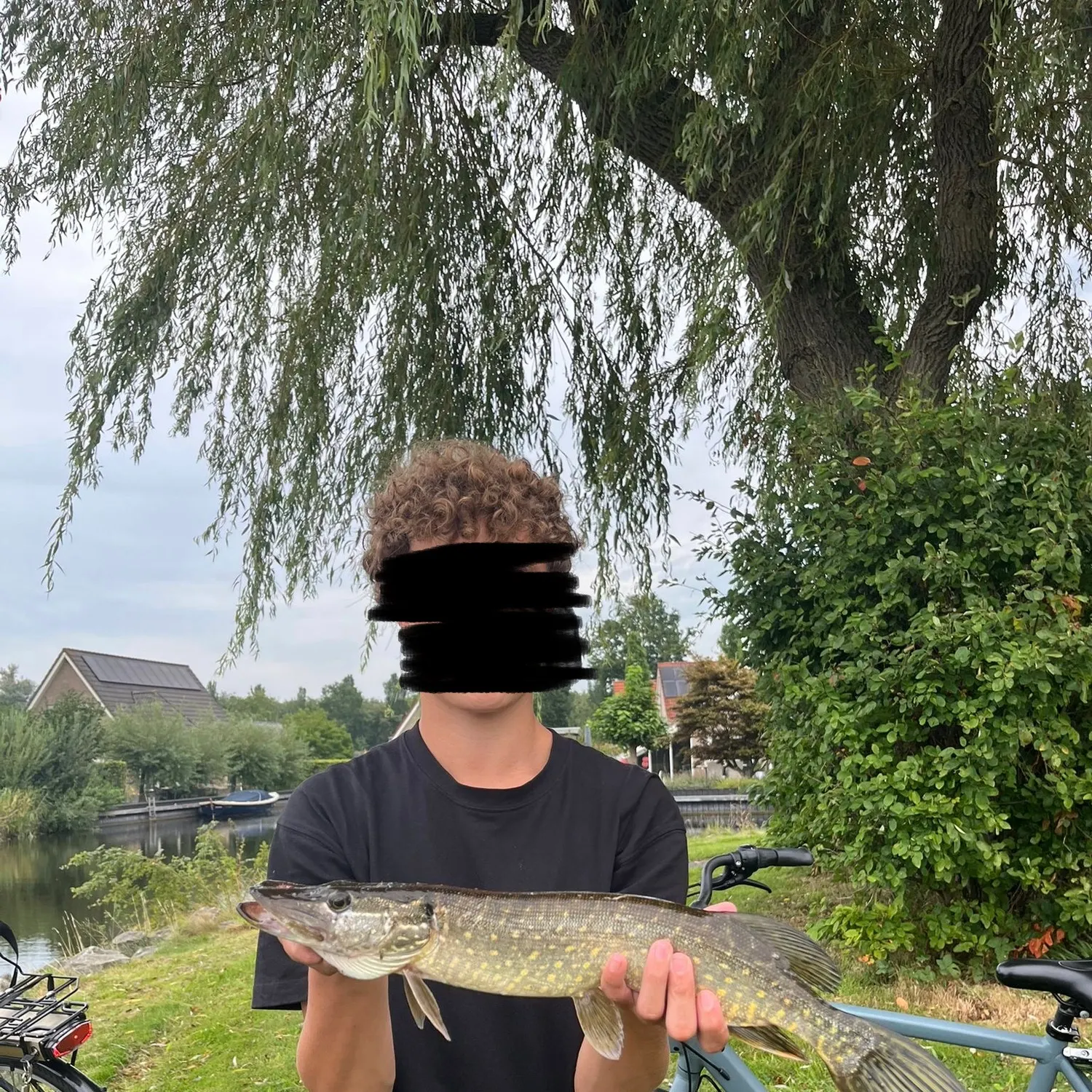 Northern pike caught on Fishbrain