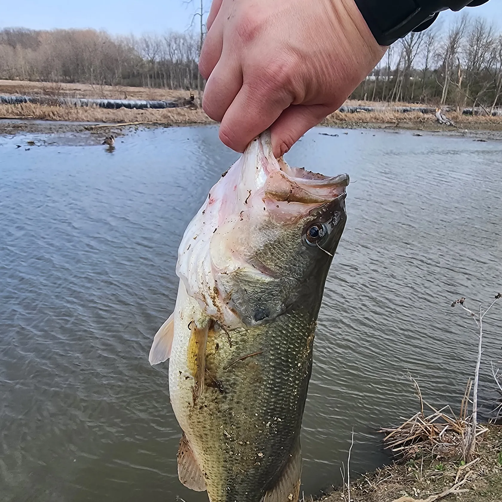 angler catch
