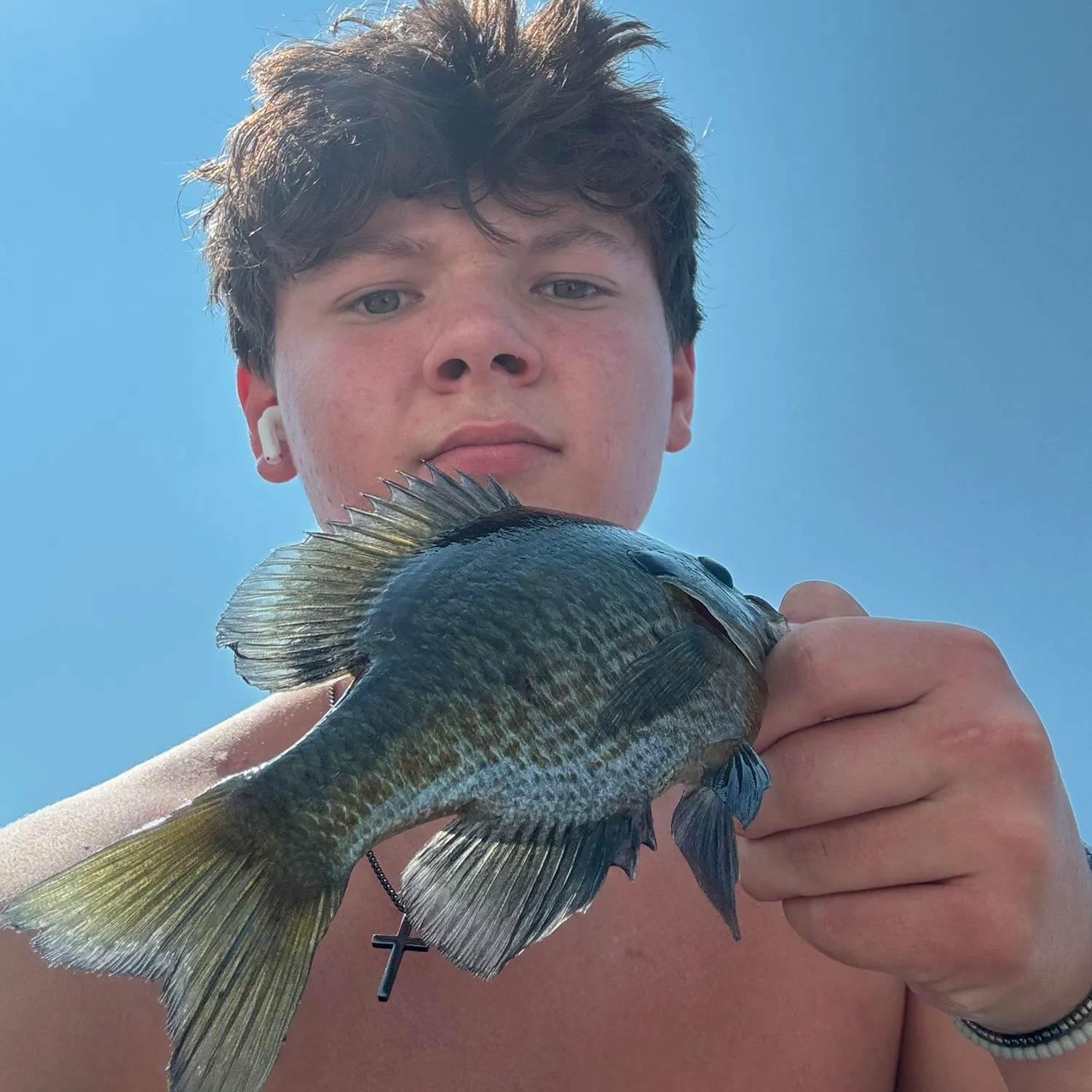 Greengill hybrid caught on Fishbrain