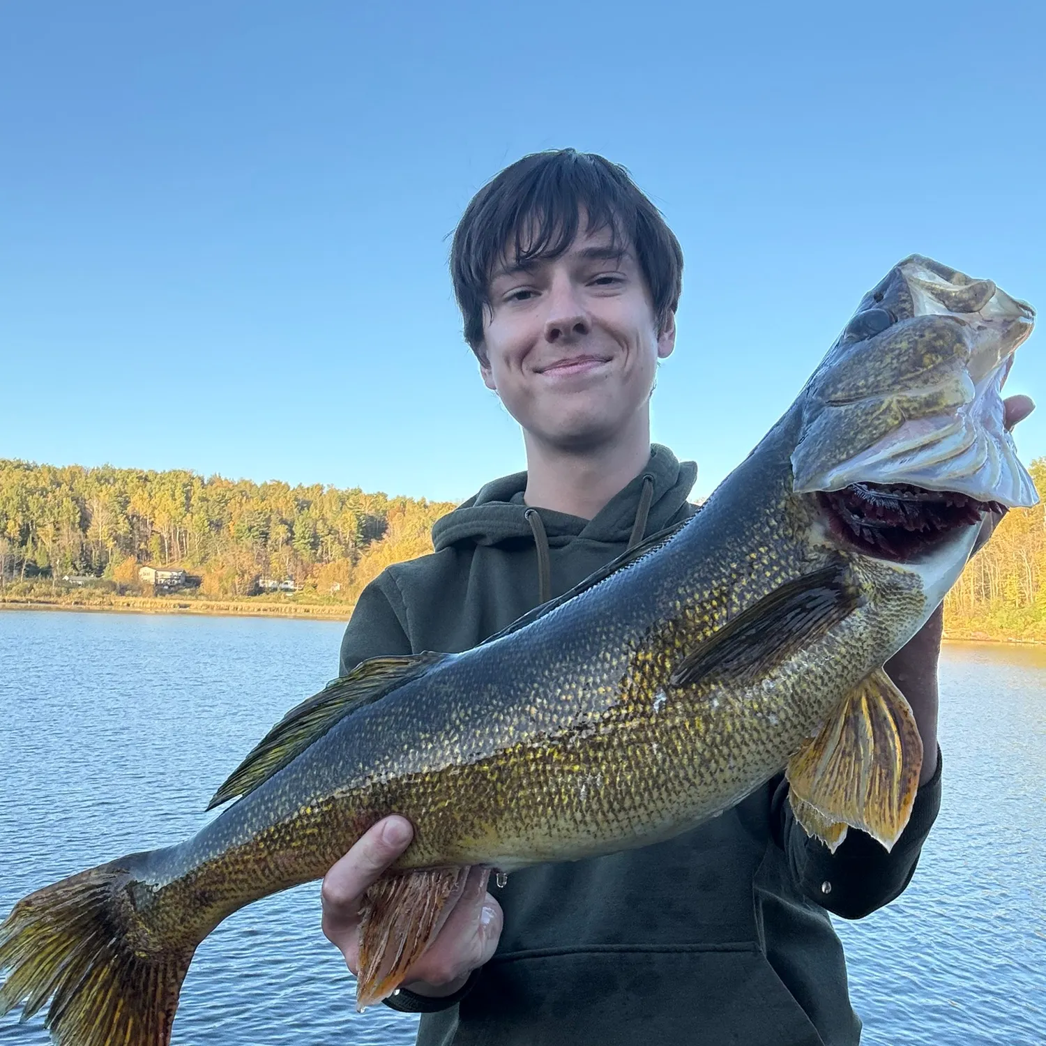 Walleye caught on Fishbrain