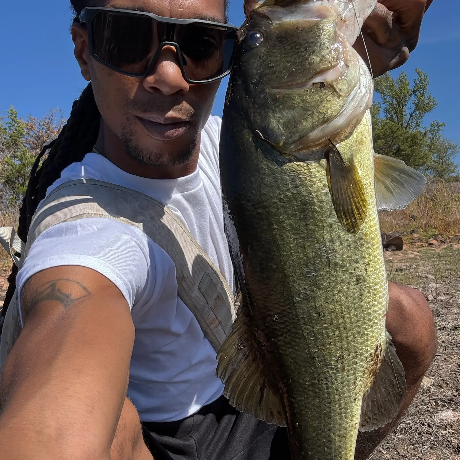 Largemouth bass caught on Fishbrain