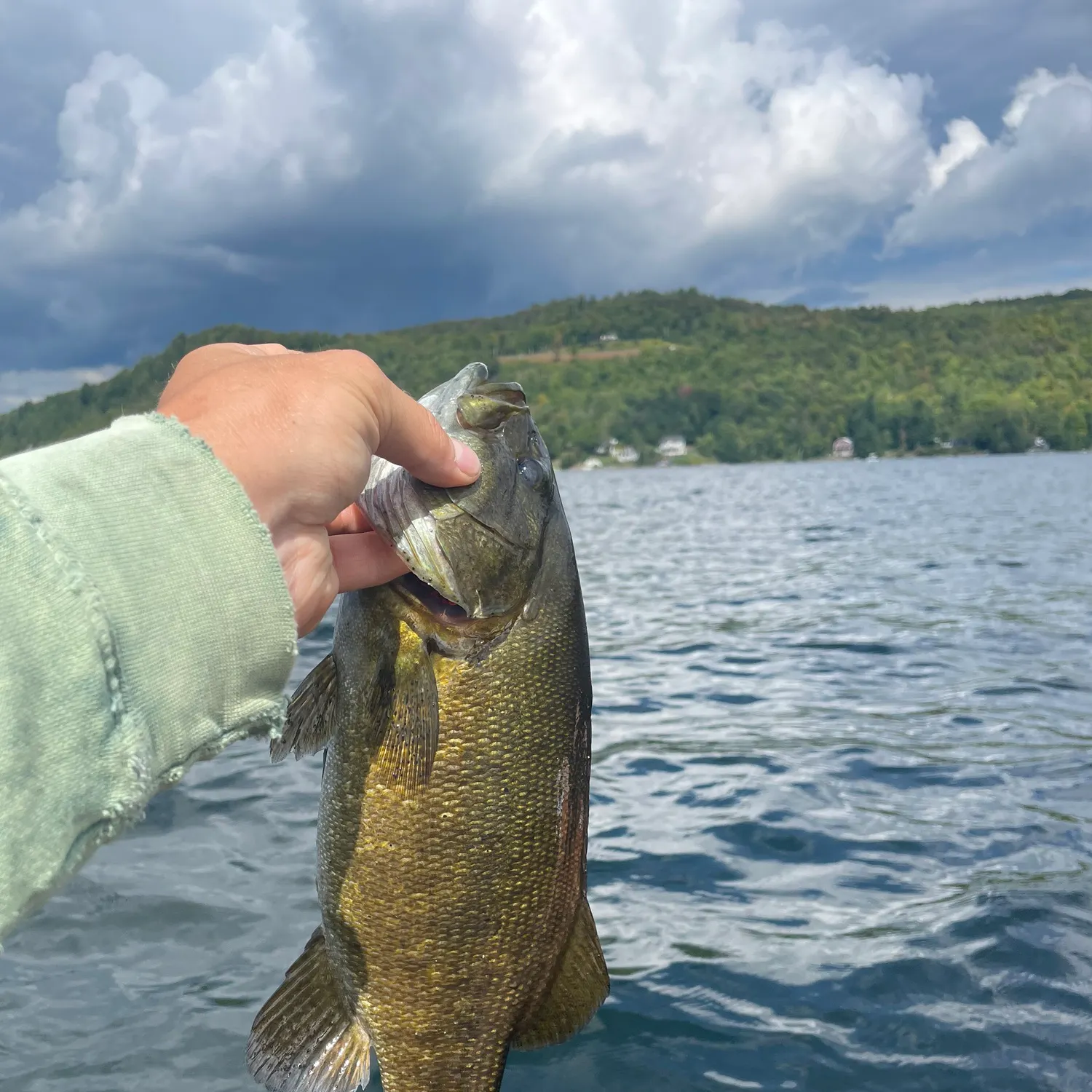 Smallmouth bass caught on Fishbrain