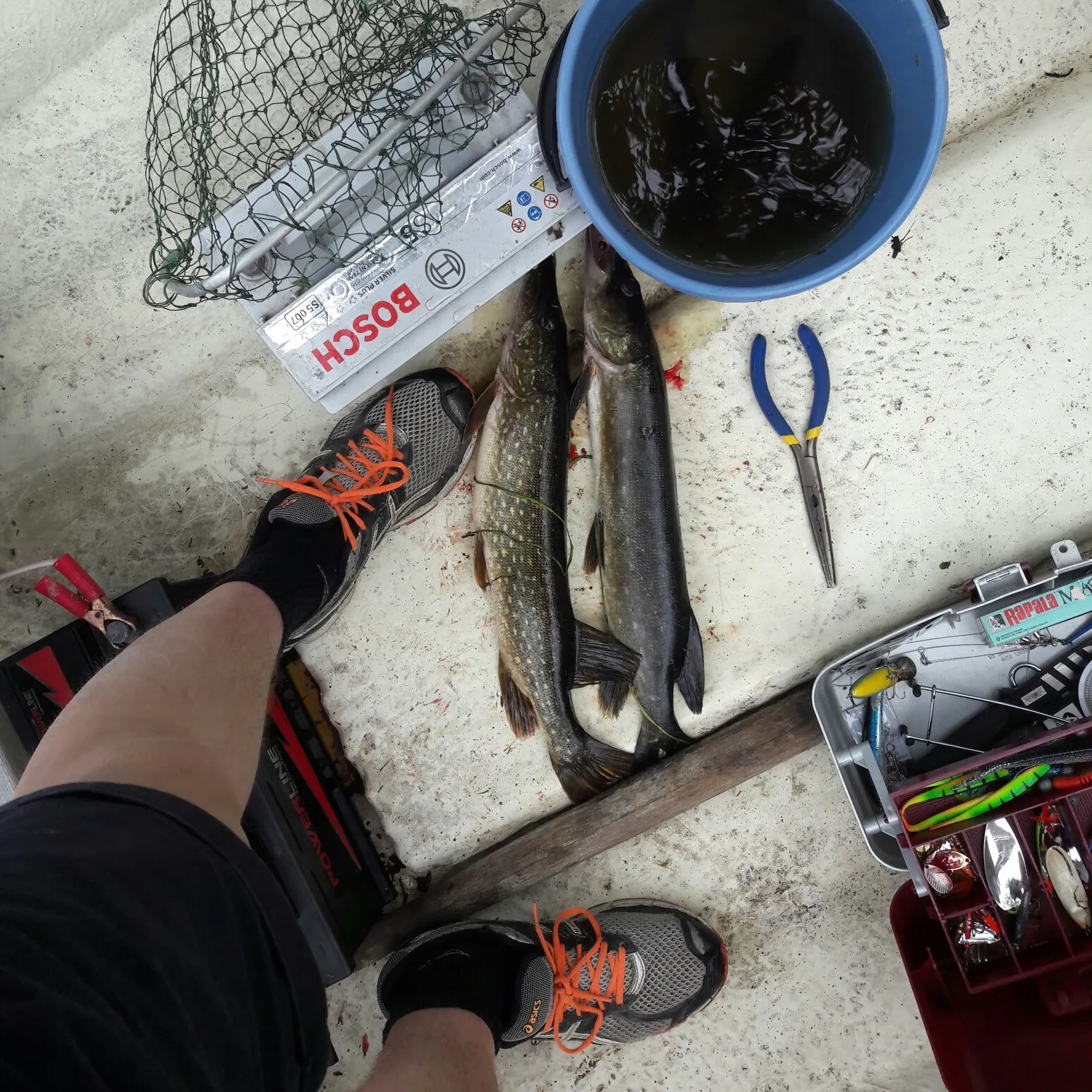 recently logged catches