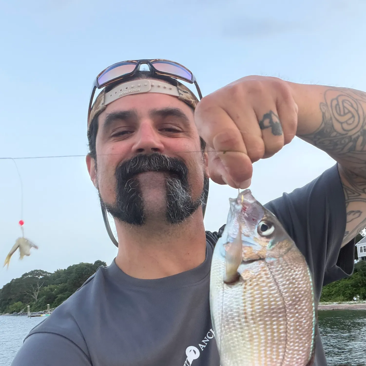 The most recent Scup catches on Fishbrain