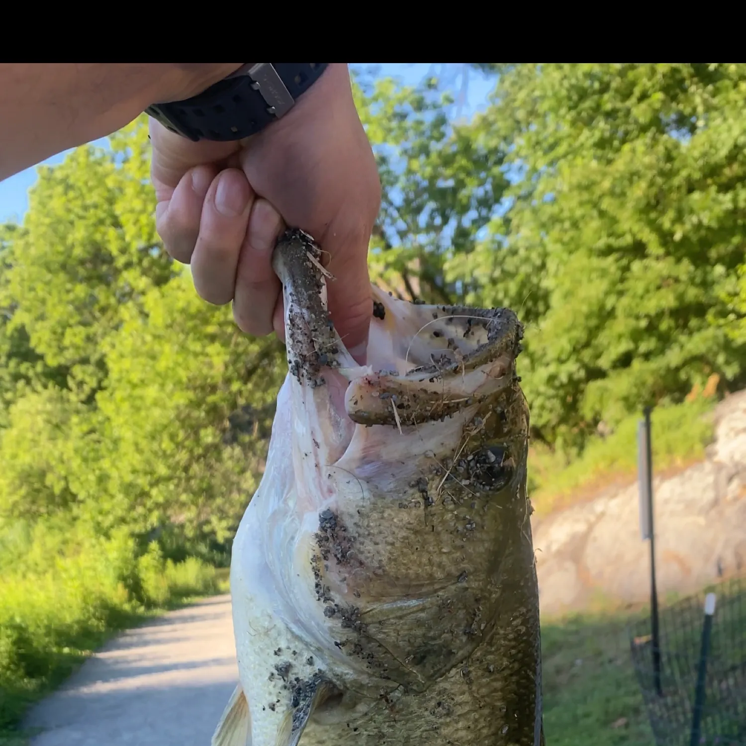 catch