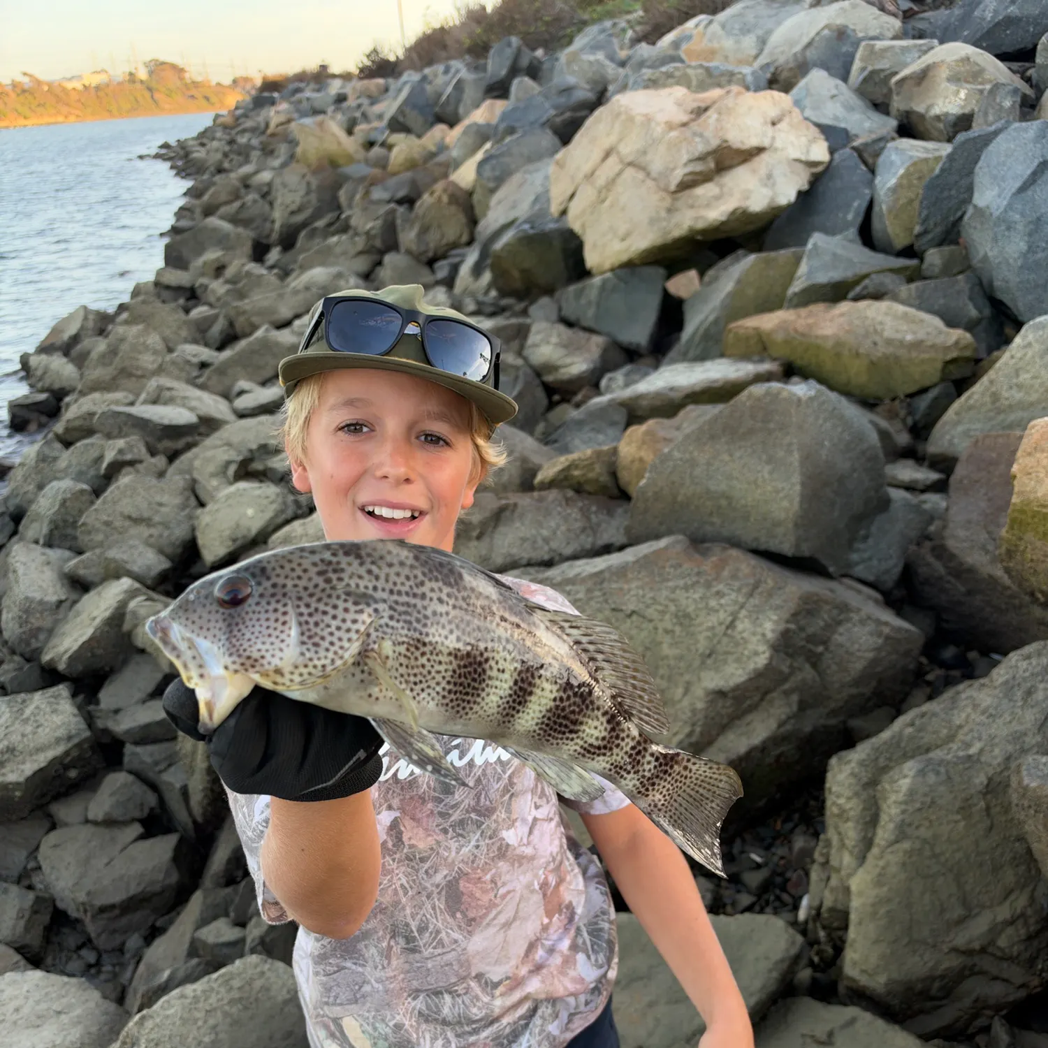 Spotted sand bass caught on Fishbrain