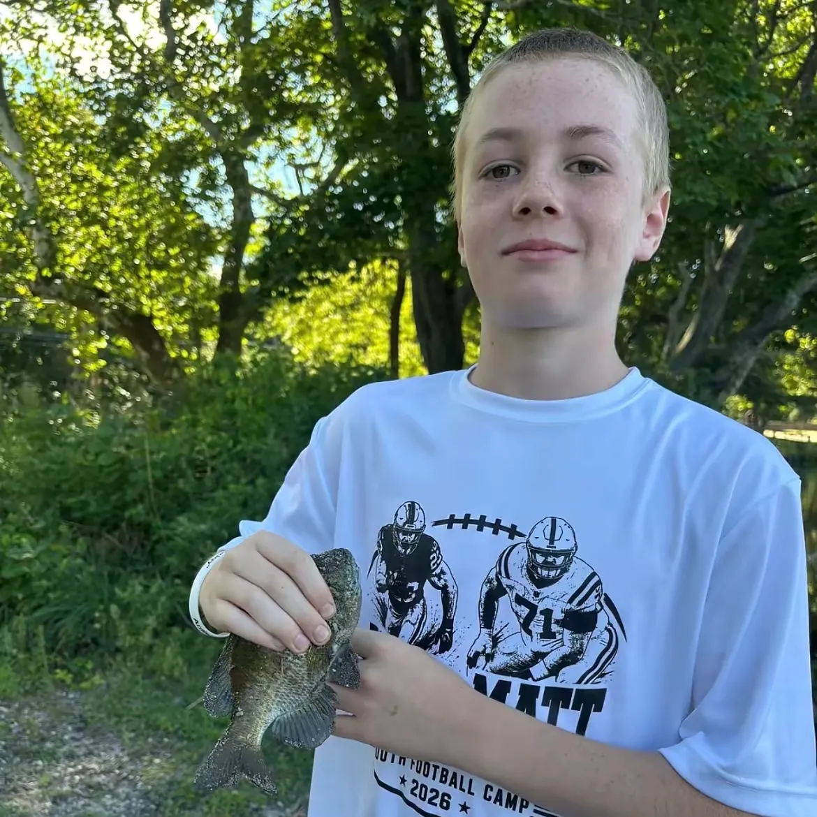 Bluegill caught on Fishbrain