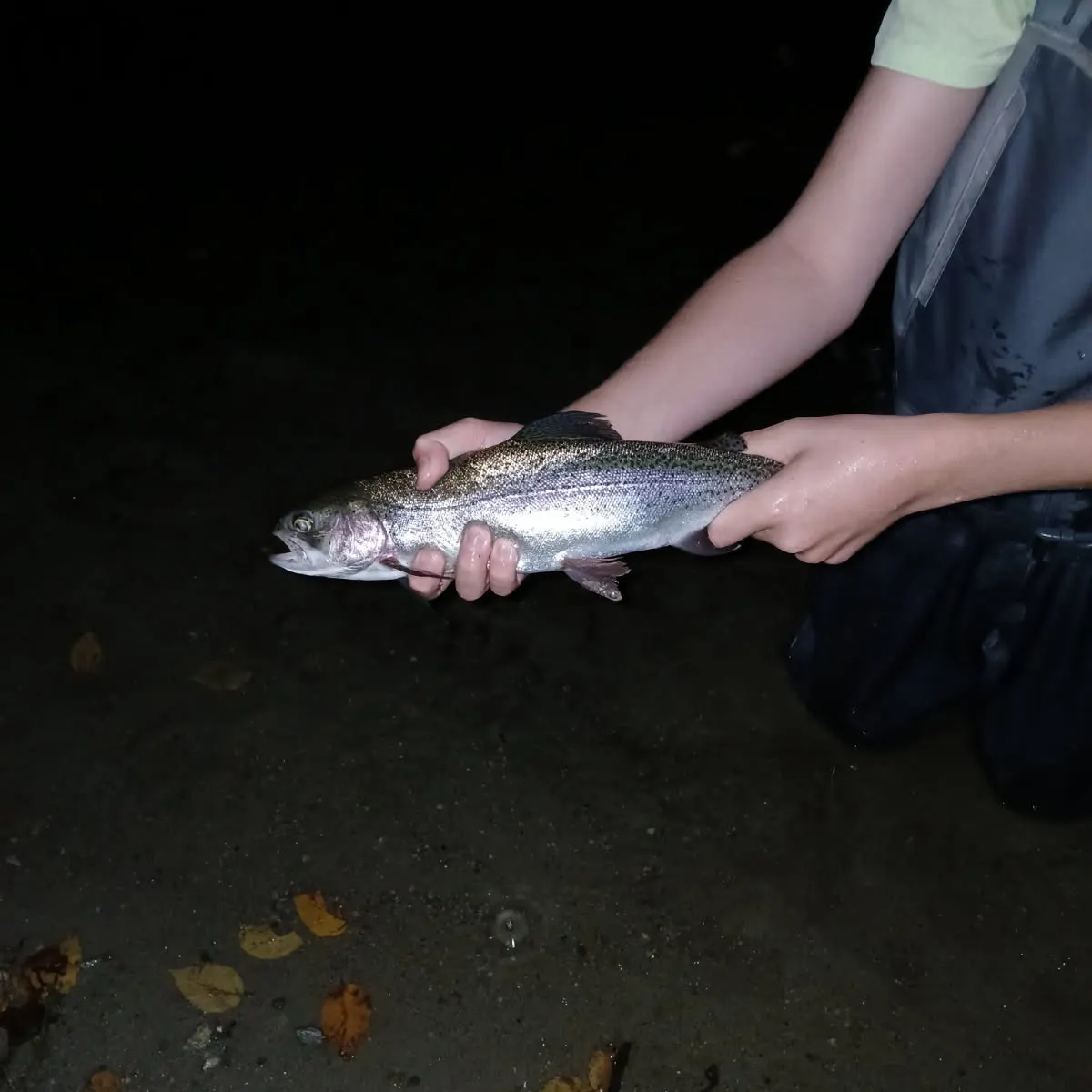 Rainbow trout caught on Fishbrain