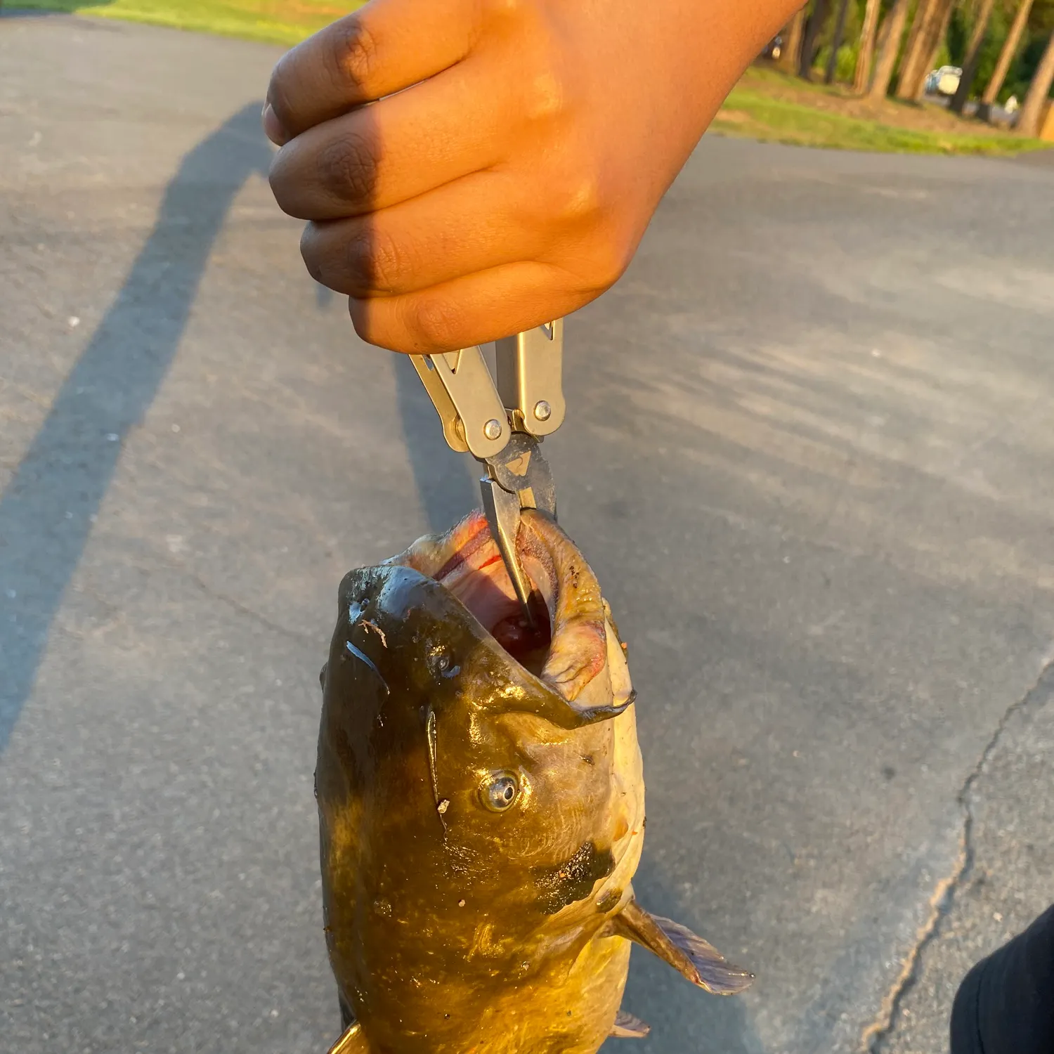 catch