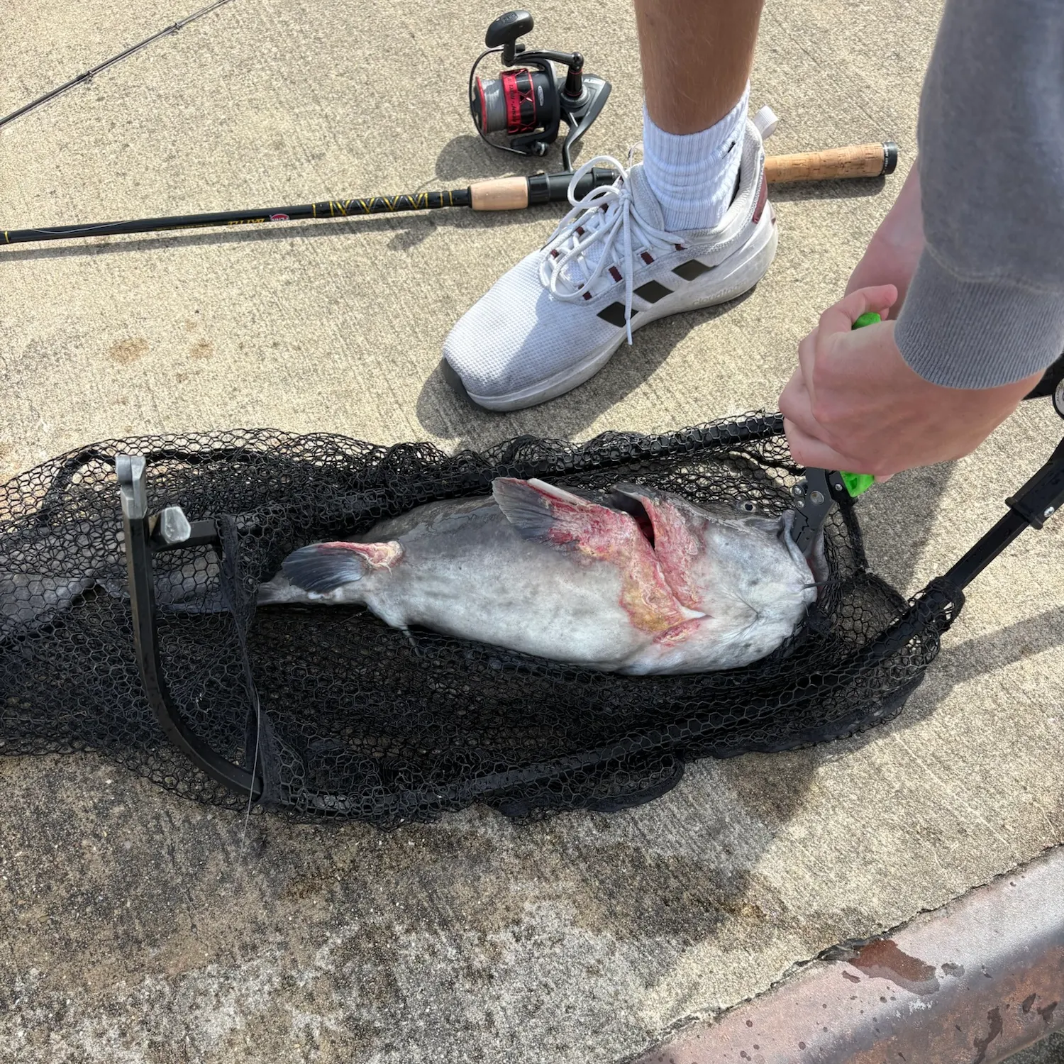 catch