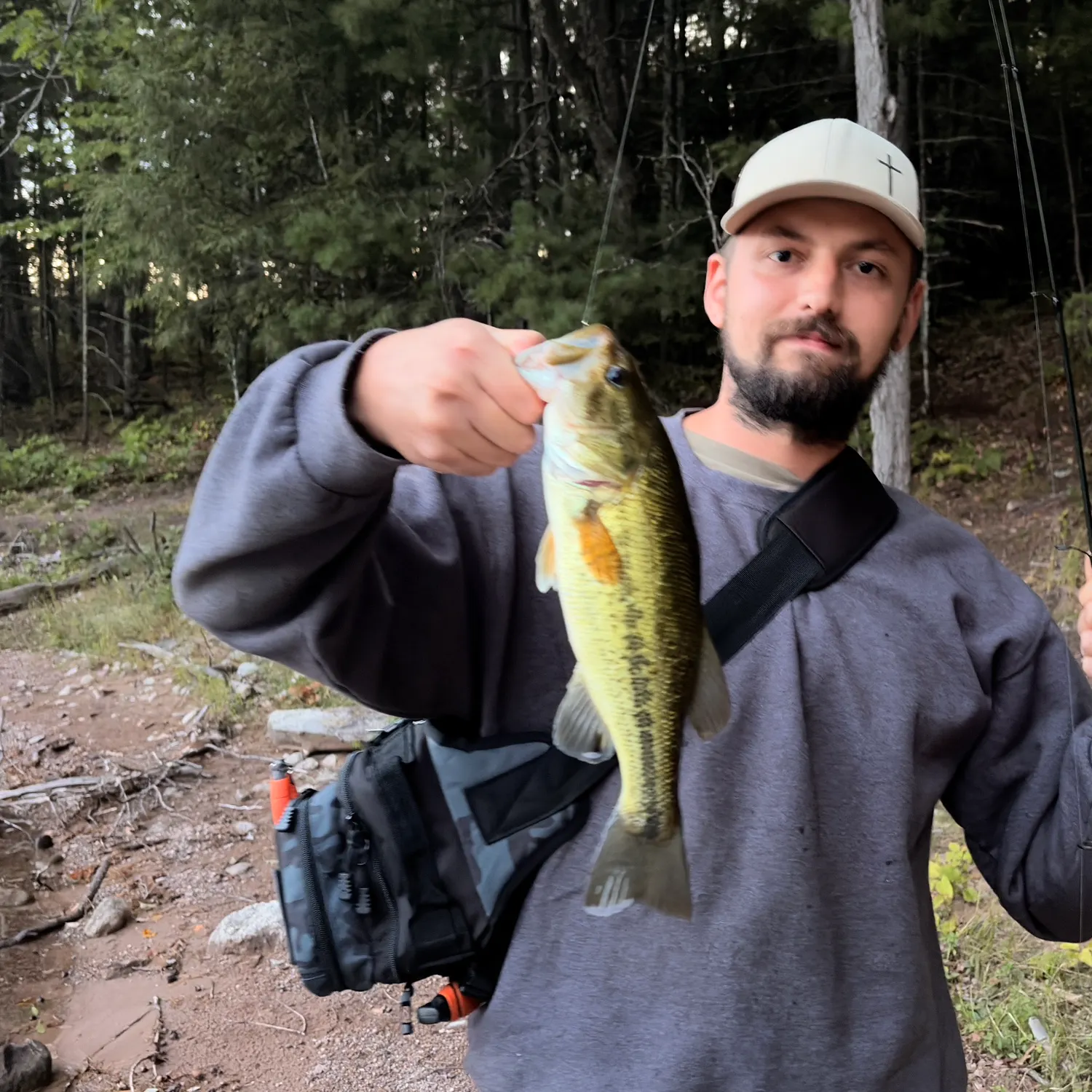 Smallmouth bass caught on Fishbrain