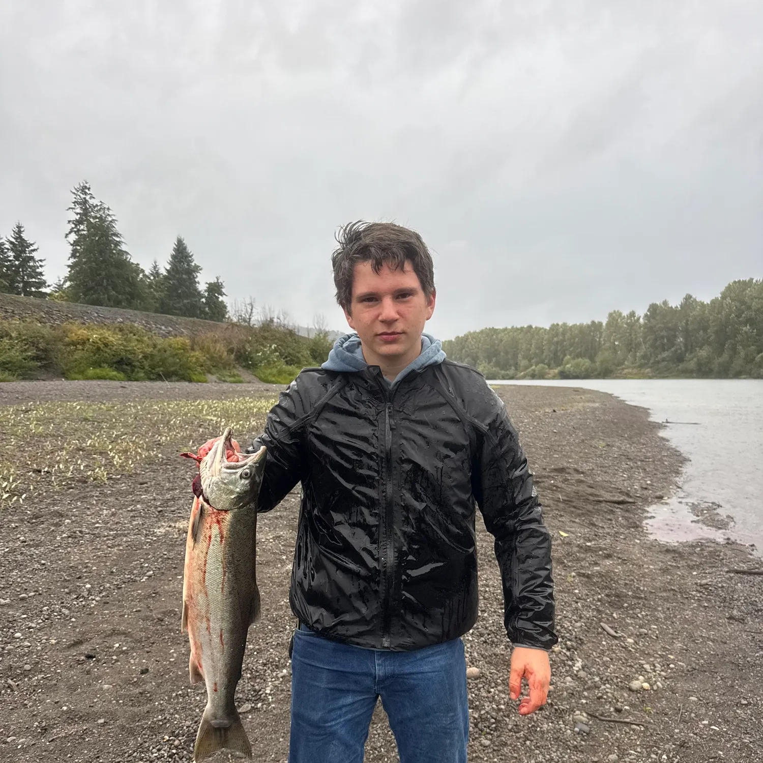 Coho salmon caught on Fishbrain