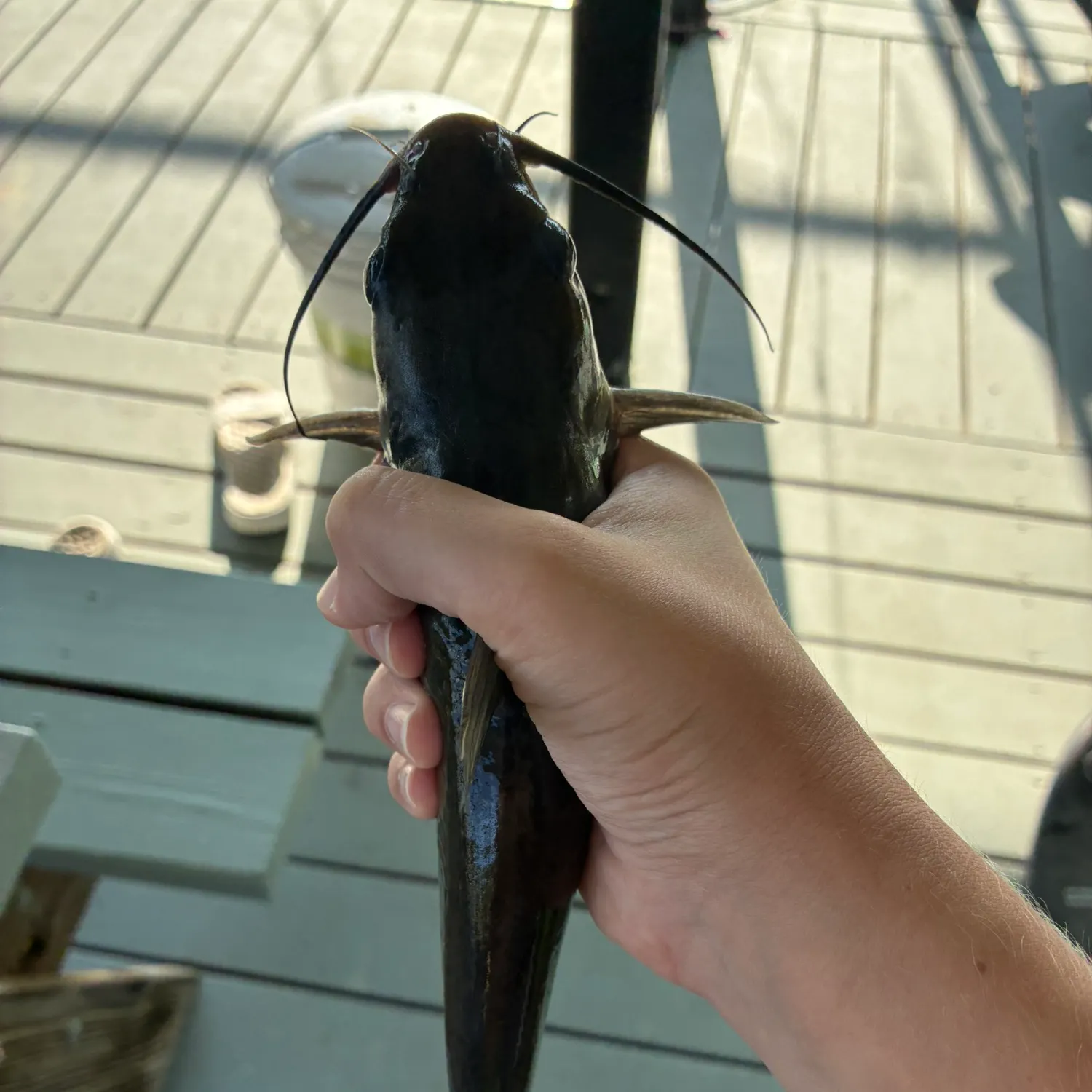 catch