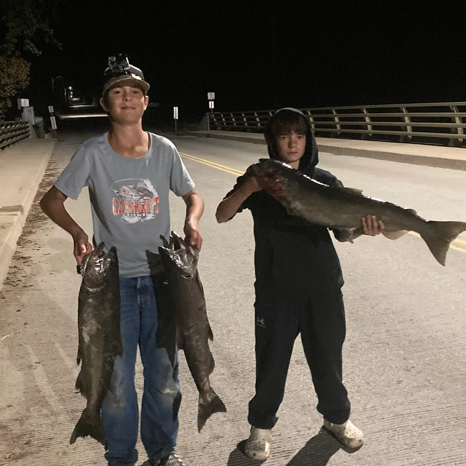 Chinook salmon caught on Fishbrain