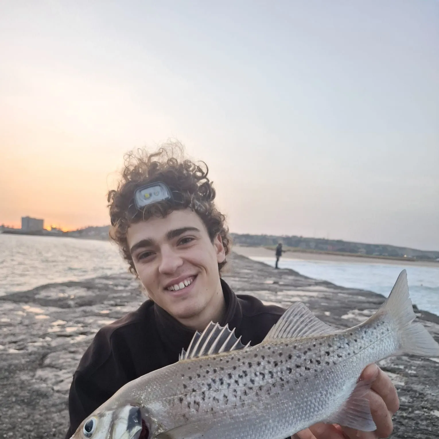 The most recent Spotted seabass catches on Fishbrain
