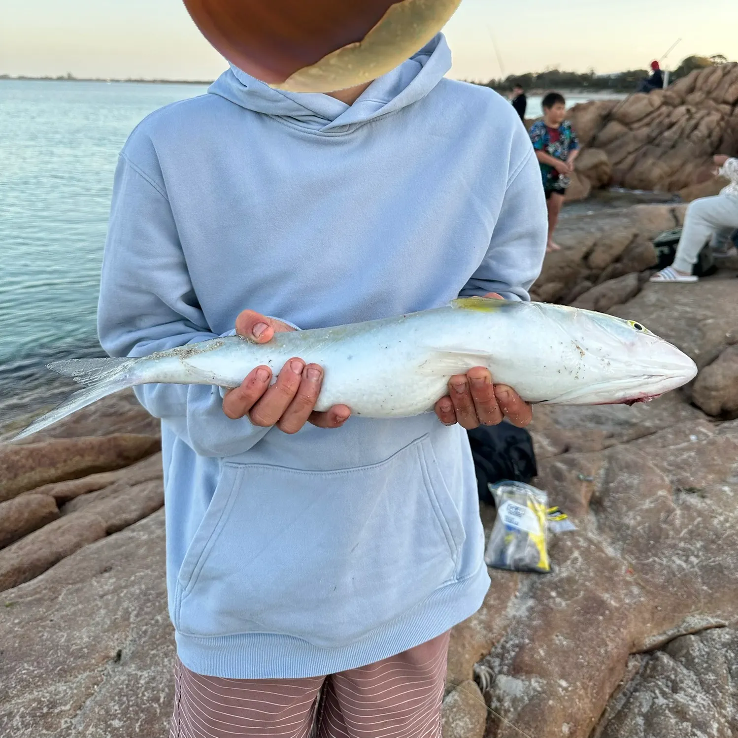 The most recent Western Australian salmon catches on Fishbrain