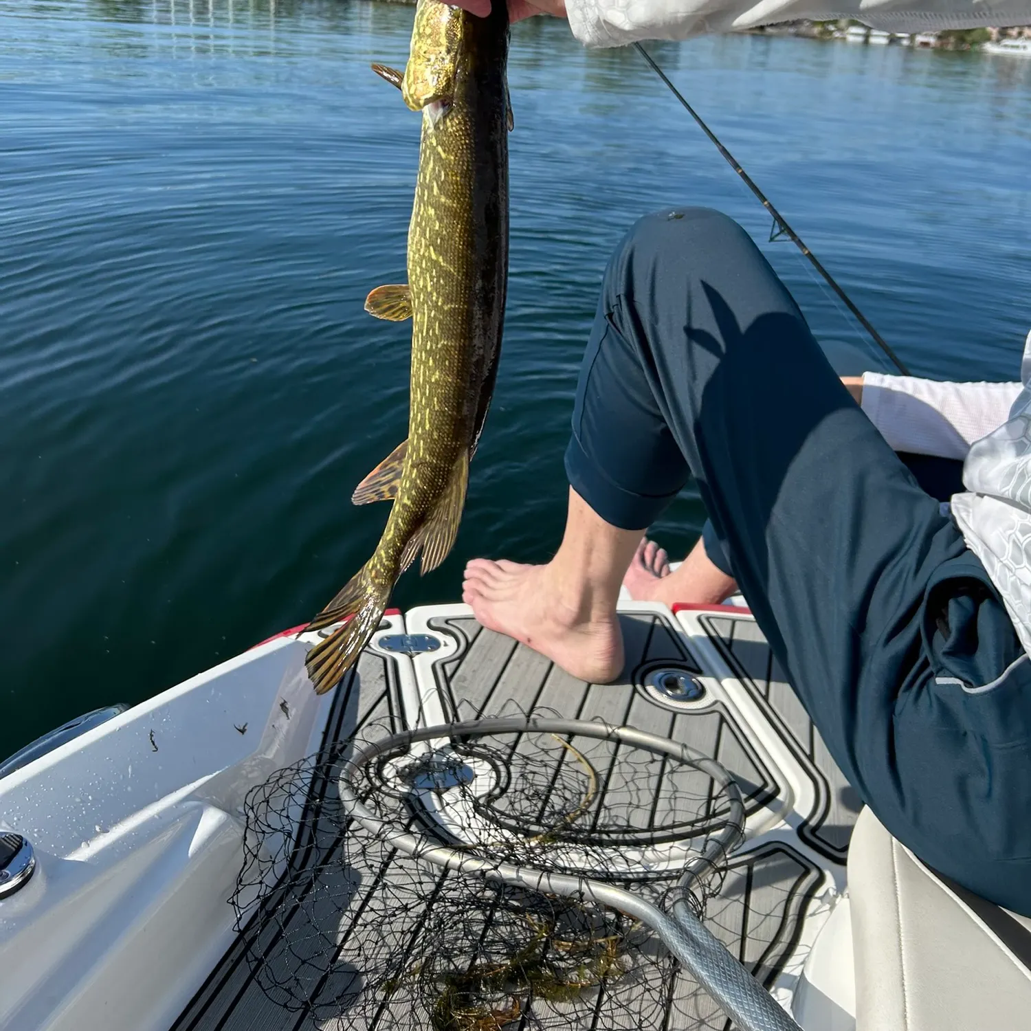 The most recent Northern pike catches on Fishbrain