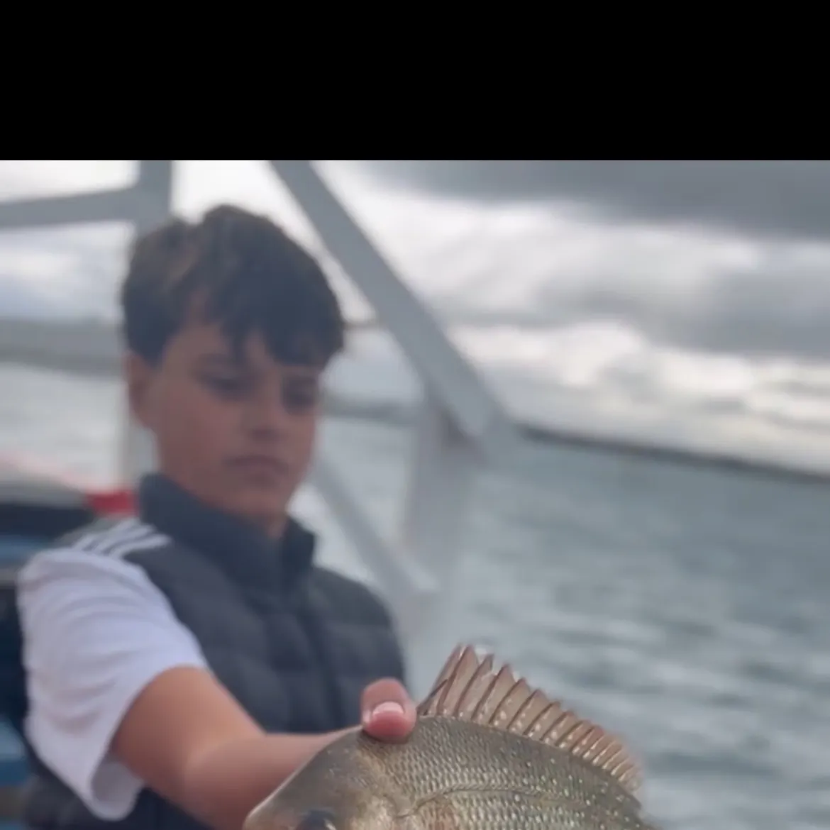 Australasian snapper caught on Fishbrain
