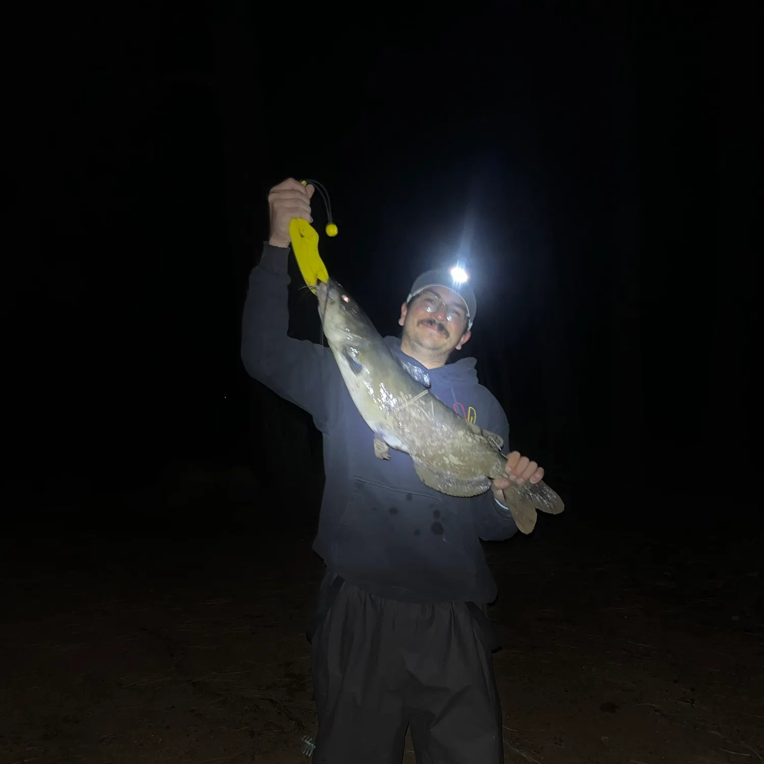Channel catfish caught on Fishbrain