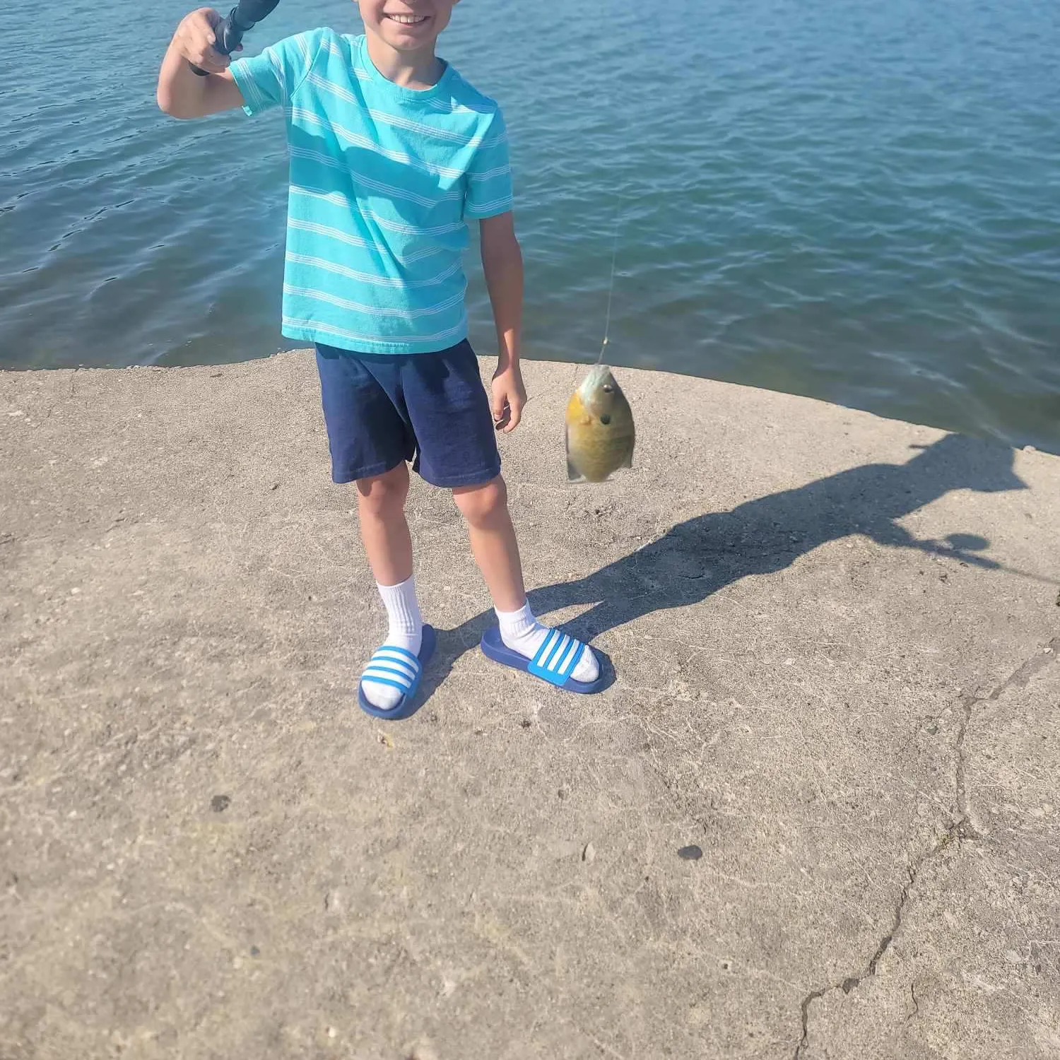 The most recent Yellow bass catches on Fishbrain