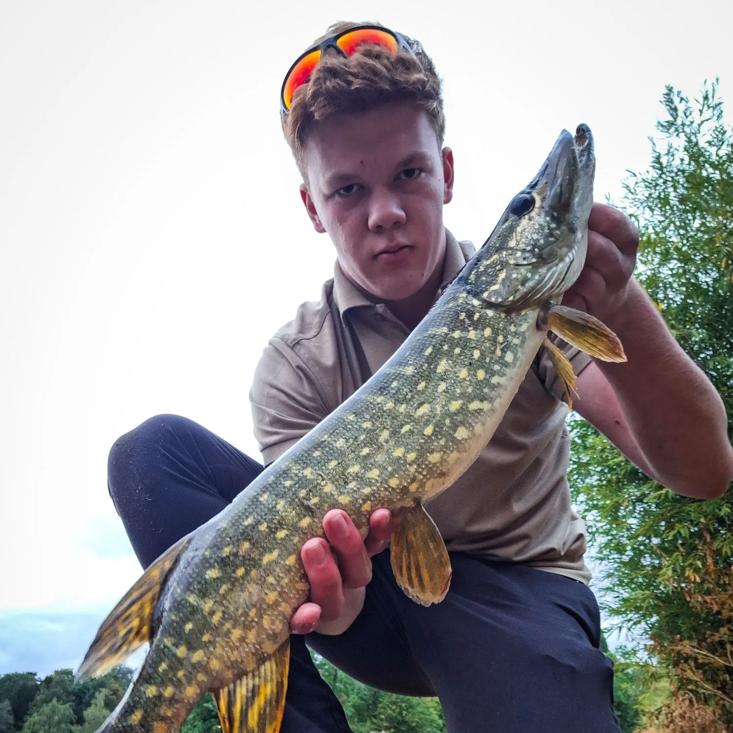 Northern pike caught on Fishbrain