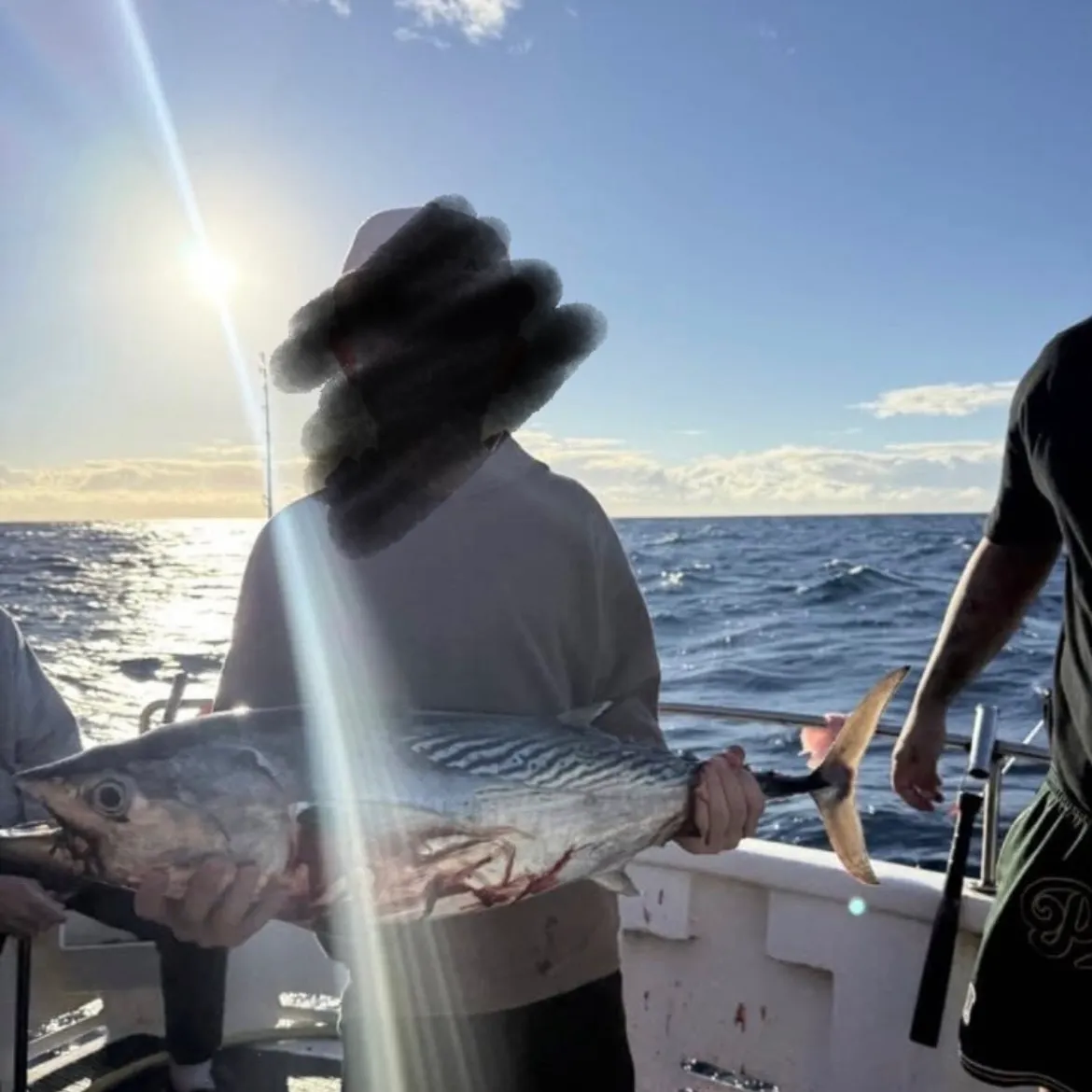 The most recent Kawakawa catches on Fishbrain