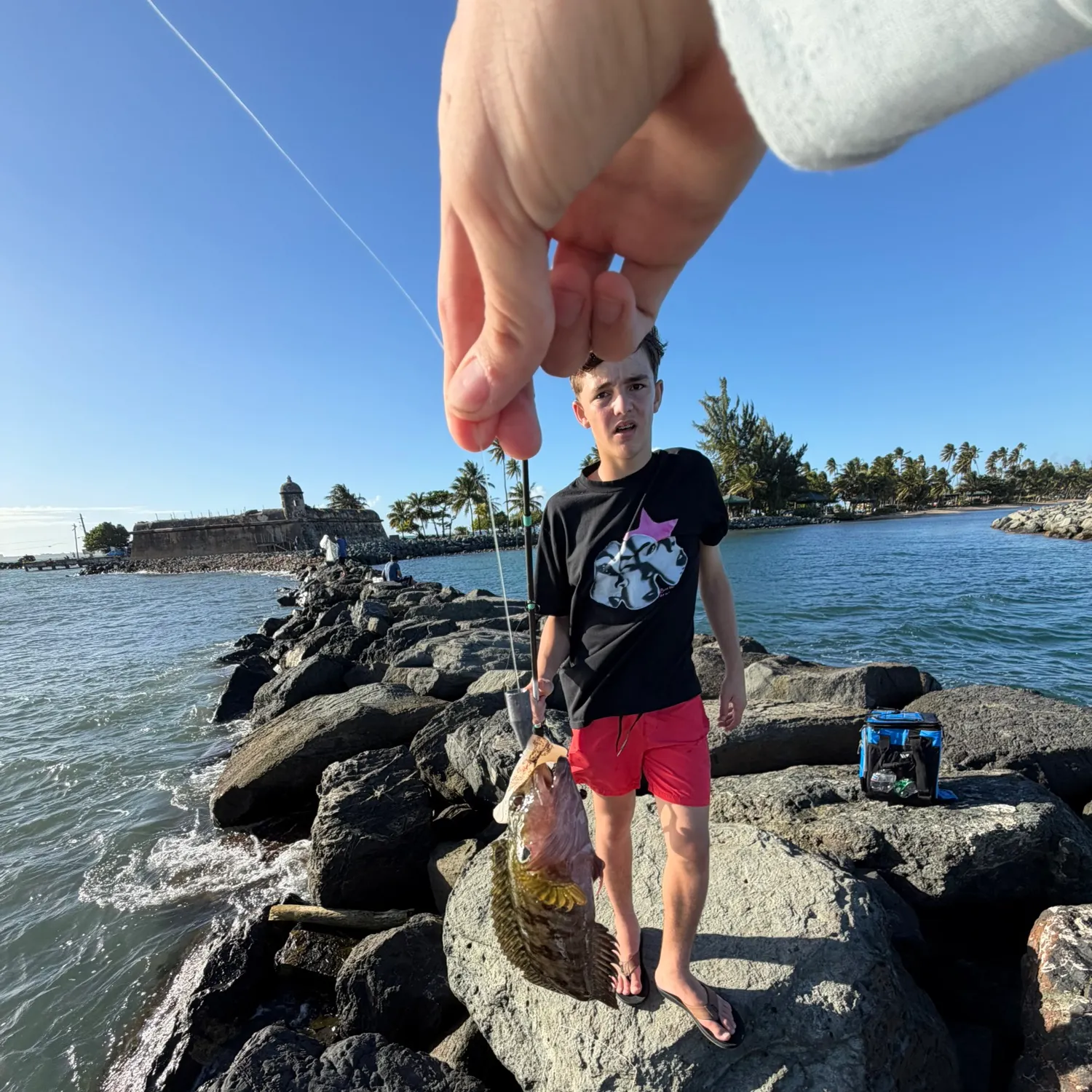 The most recent Kelp greenling catches on Fishbrain