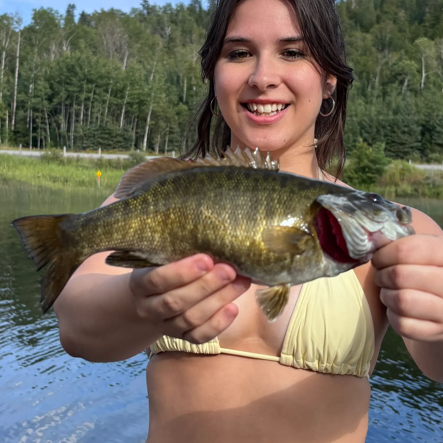 Smallmouth bass caught on Fishbrain