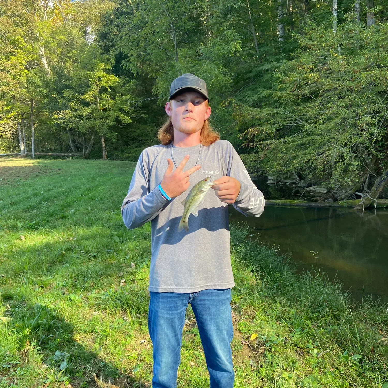 The most recent Smallmouth bass catches on Fishbrain