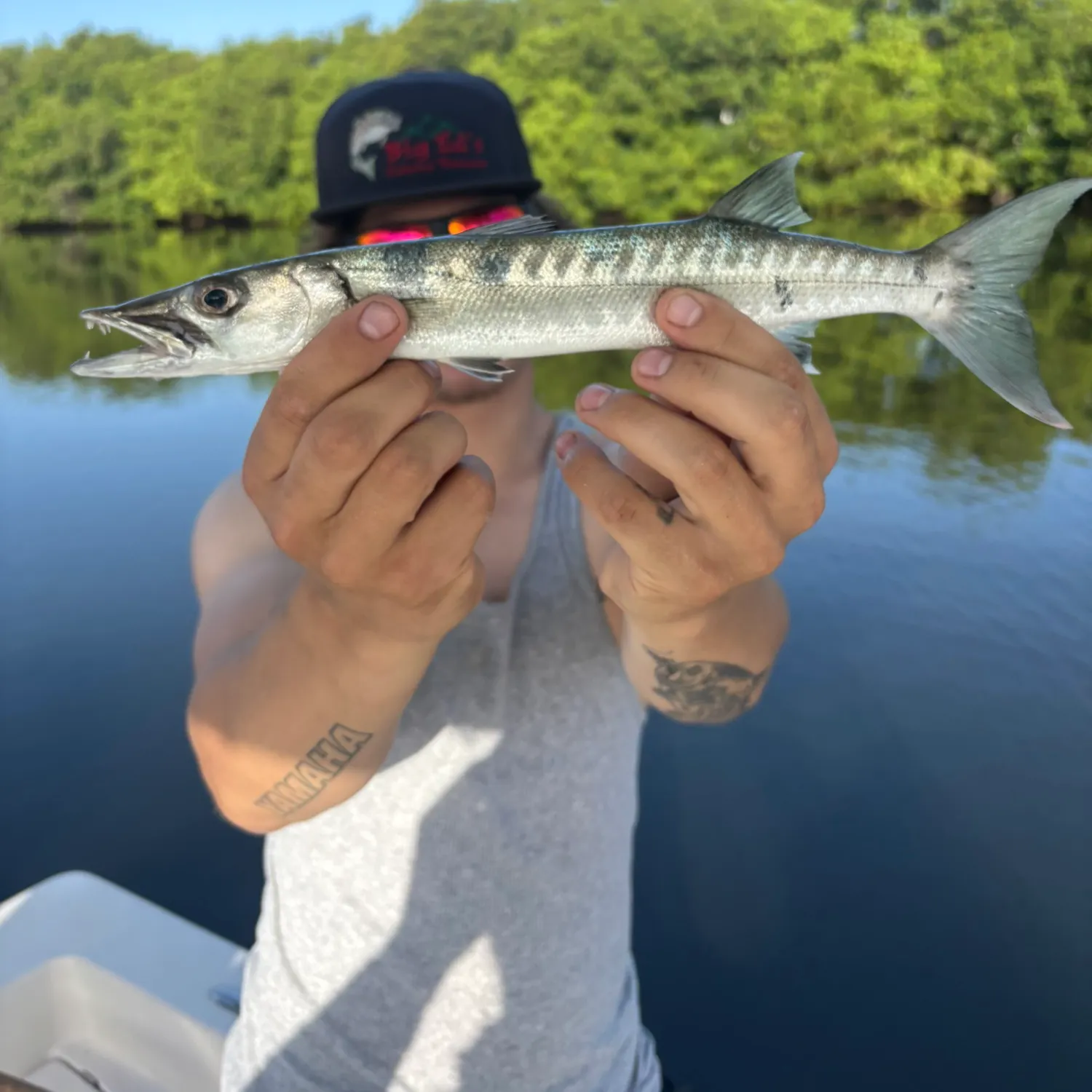 The most recent Great barracuda catches on Fishbrain