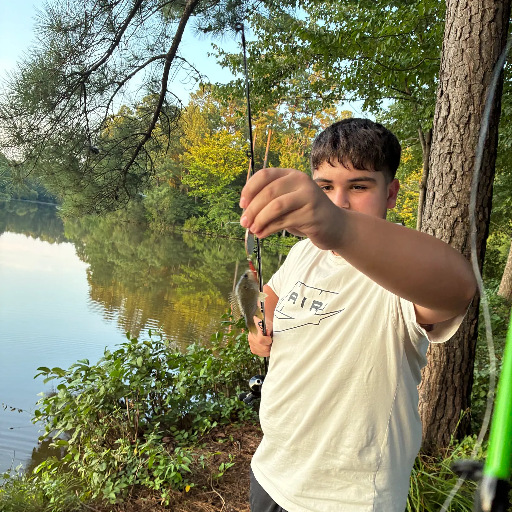 Bluegill caught on Fishbrain