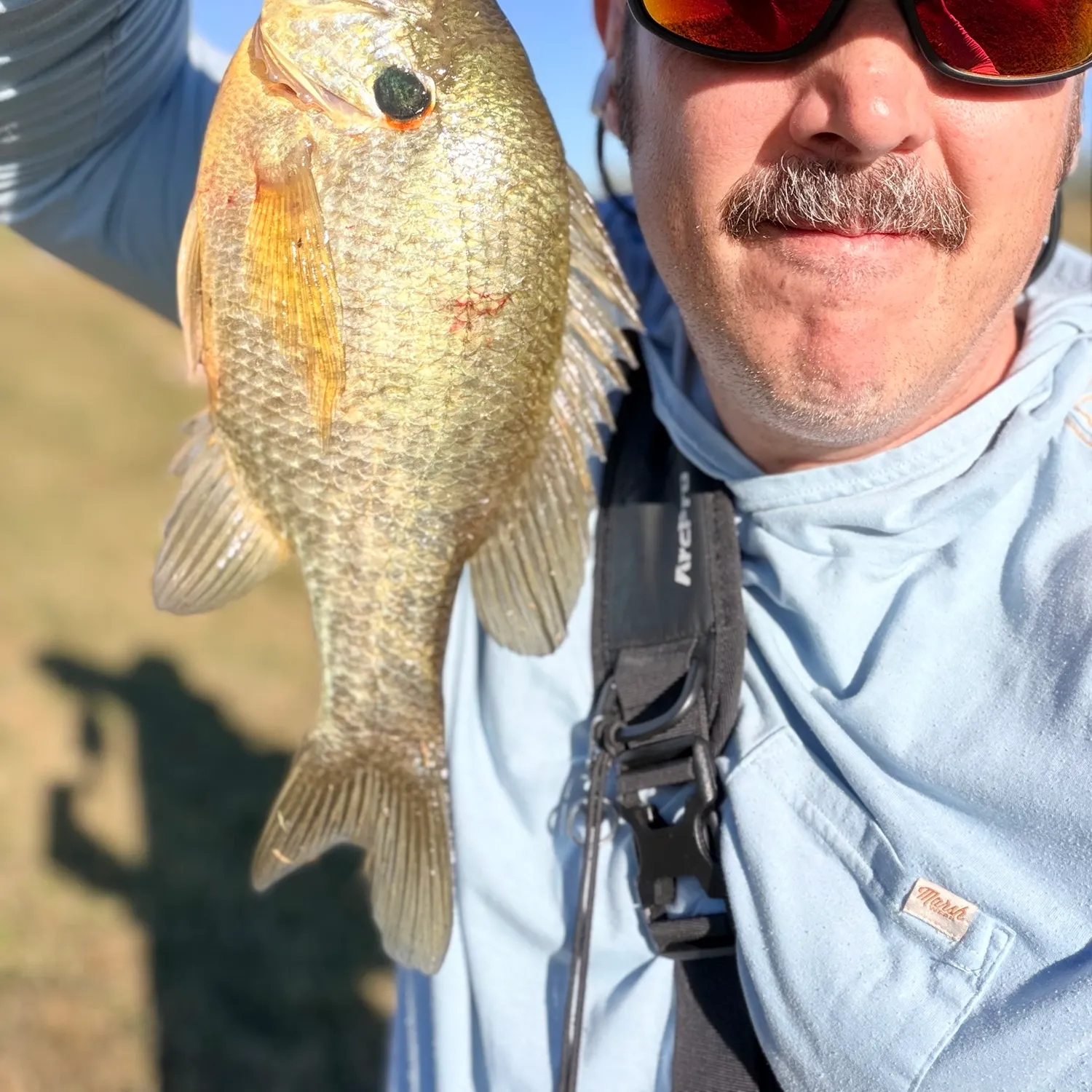 Redear sunfish caught on Fishbrain