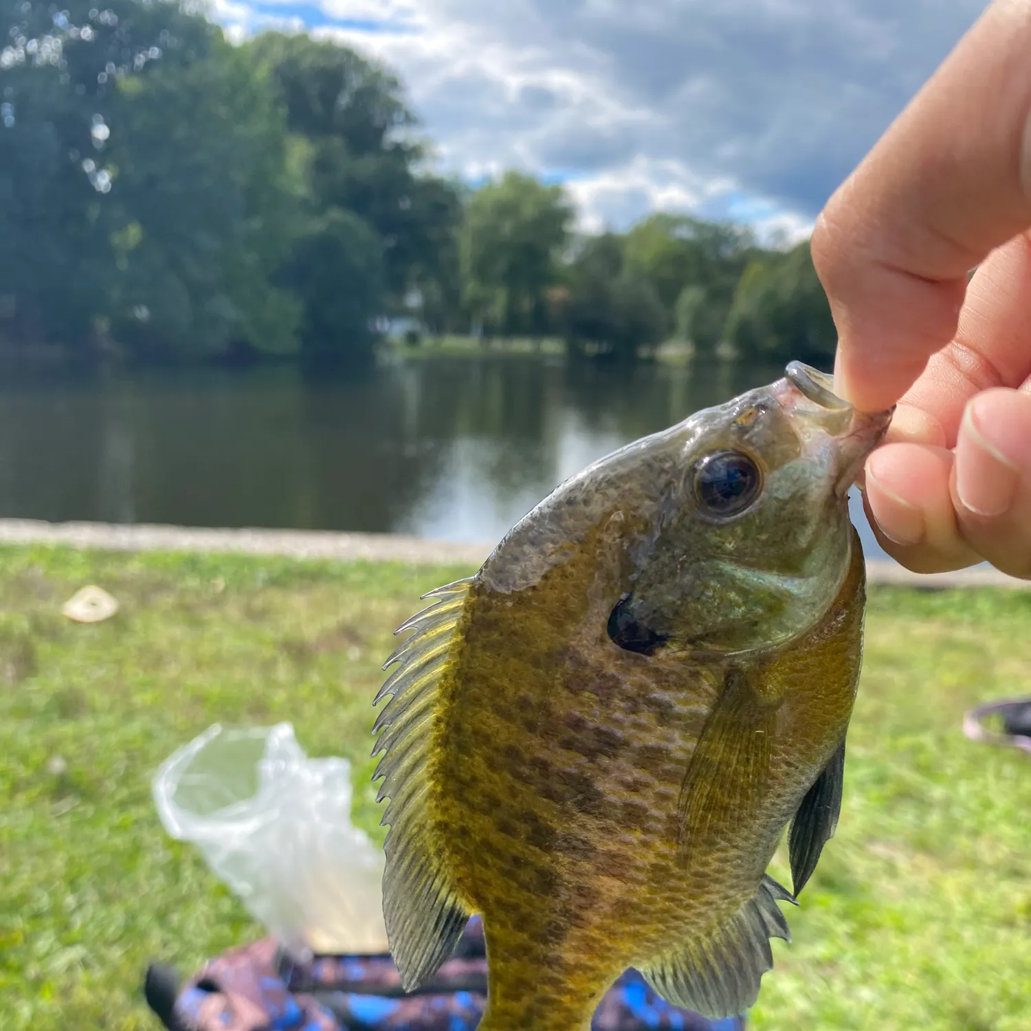 catch