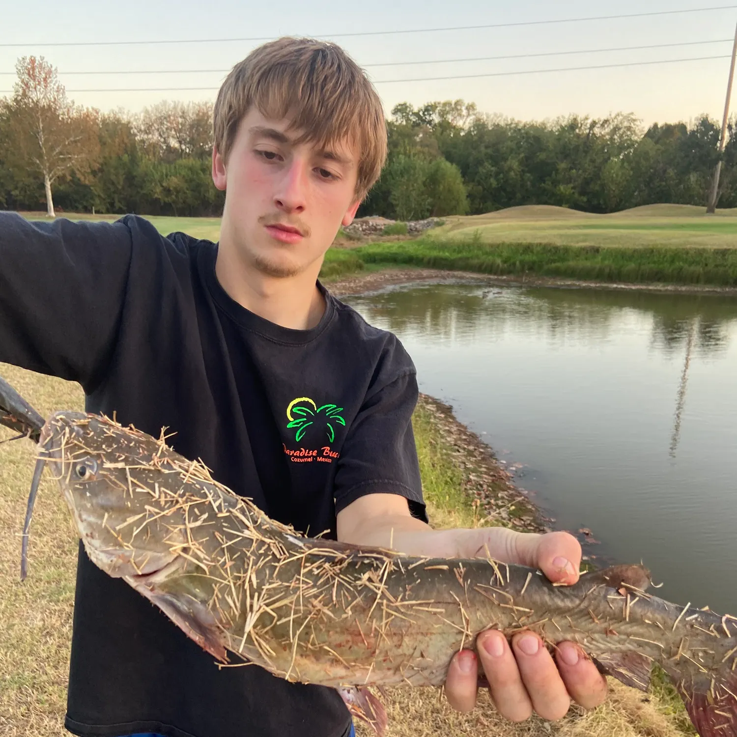 Channel catfish caught on Fishbrain